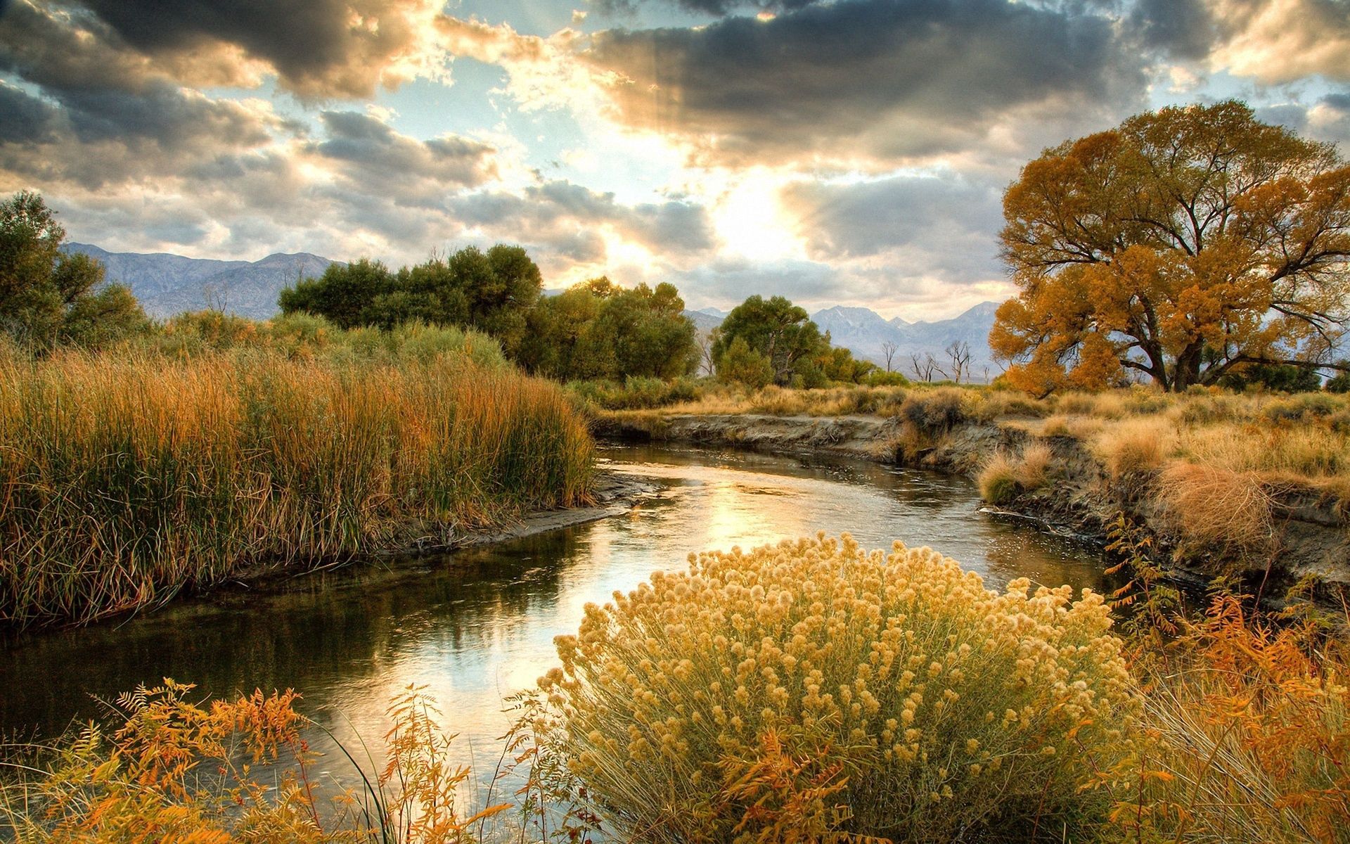 Laden Sie das Flüsse, Sun, Bush, Natur, Clouds-Bild kostenlos auf Ihren PC-Desktop herunter