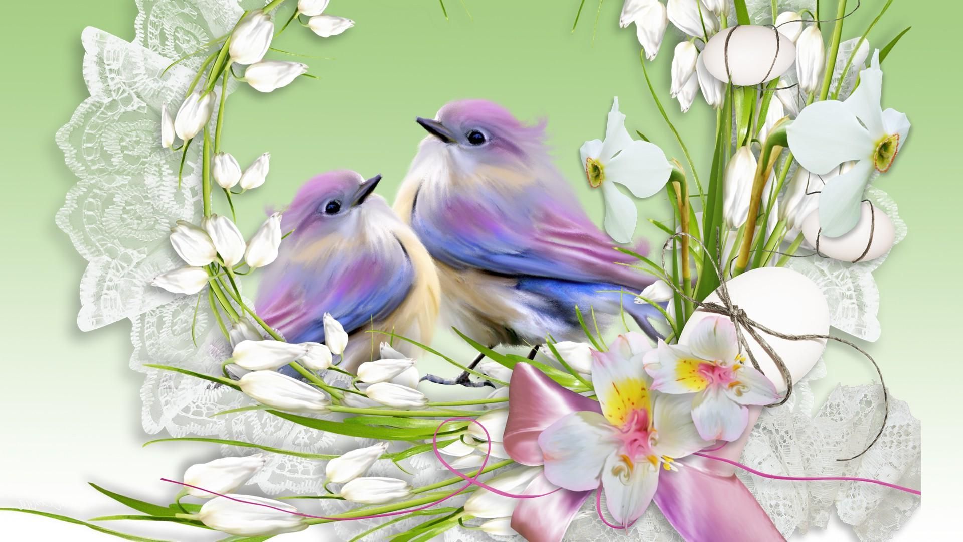 spring, animal, bird, nest, birds