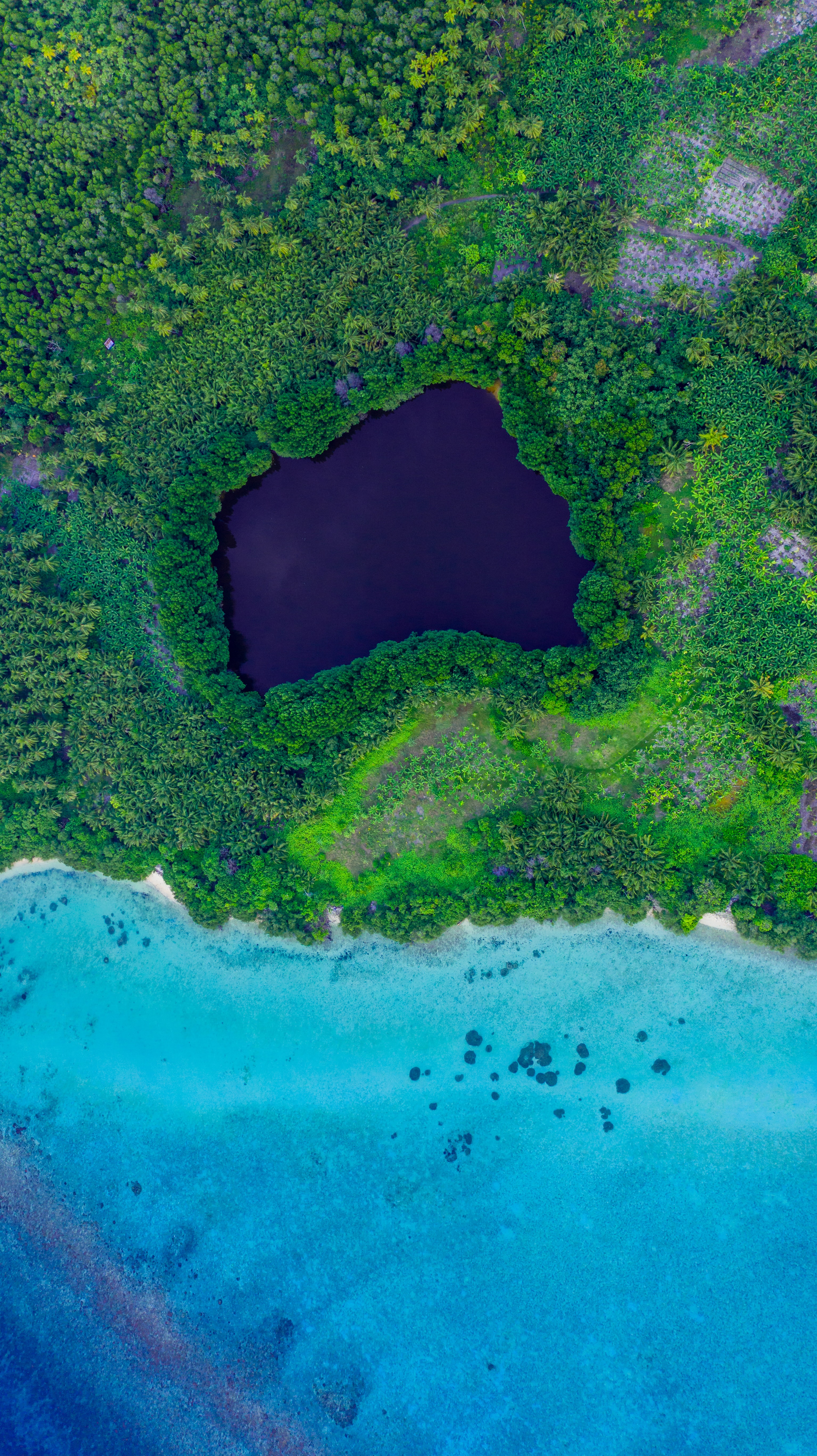 Laden Sie das Natur, Blick Von Oben, Die Insel, Insel, Küste, Lagune, Sea-Bild kostenlos auf Ihren PC-Desktop herunter