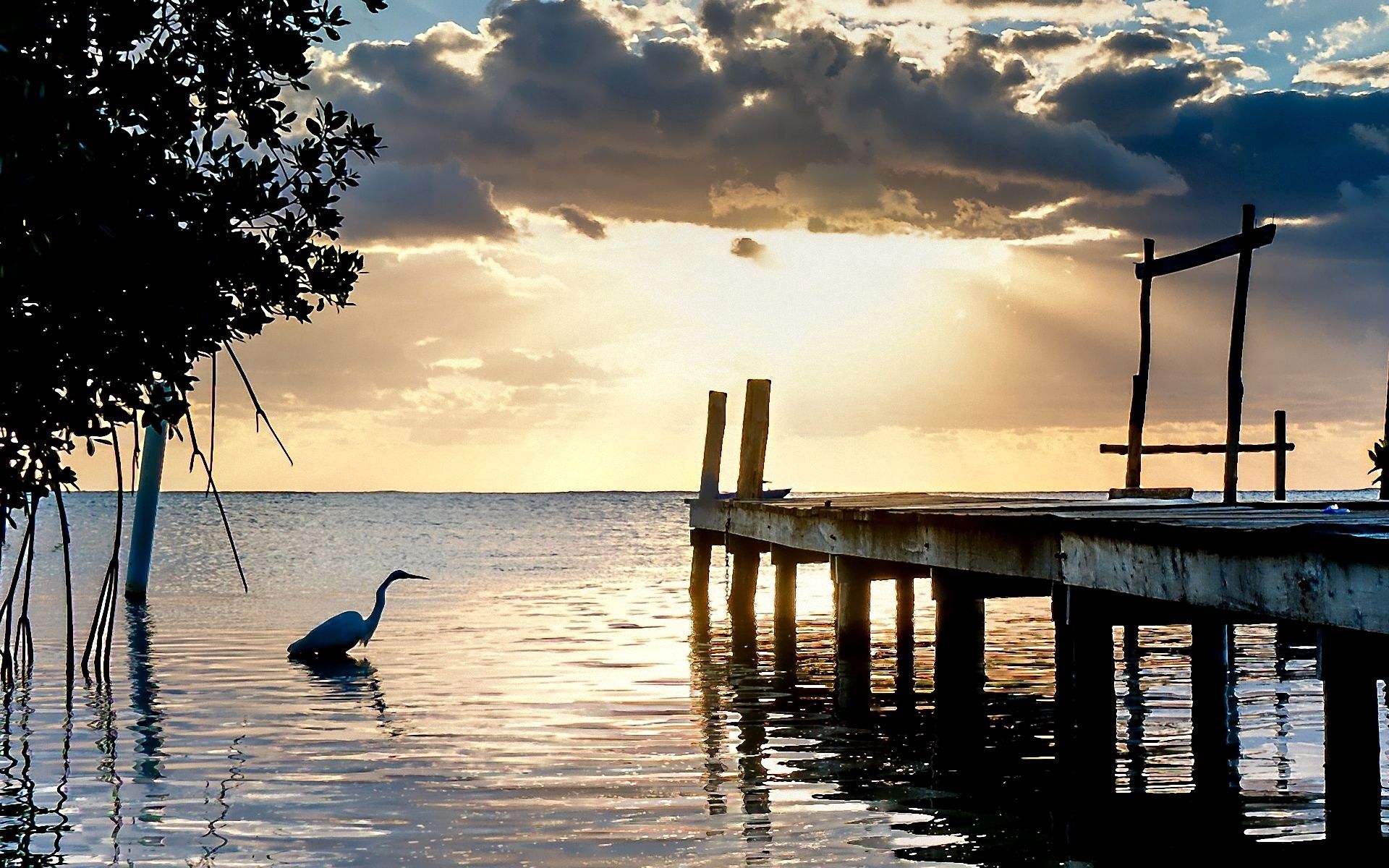 Download mobile wallpaper Heron, Lake, Evening, Pier, Nature for free.
