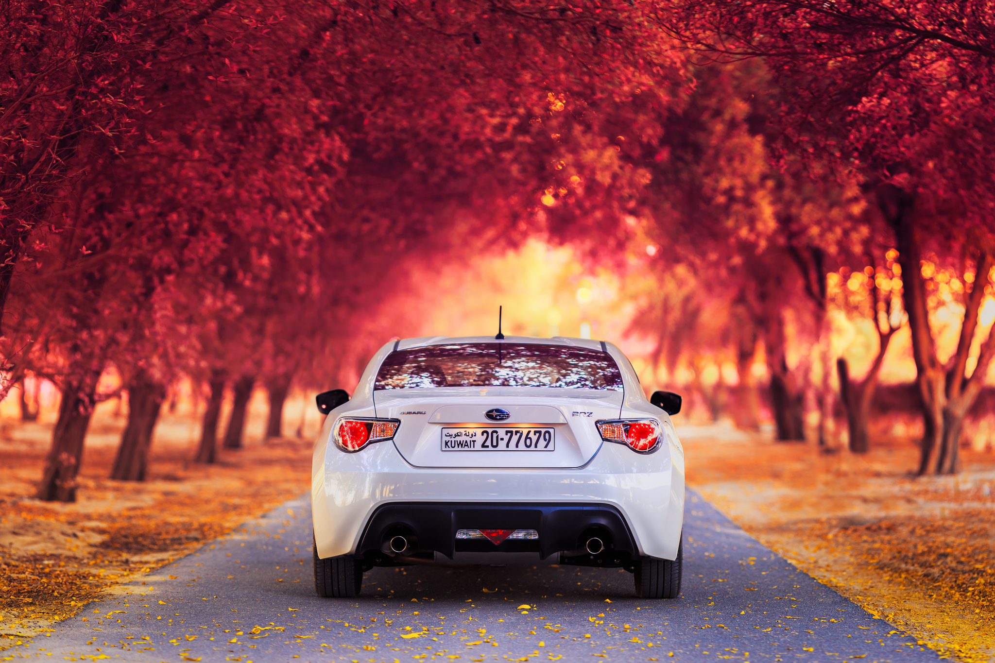 Download background cars, autumn, auto, subaru, back view, rear view