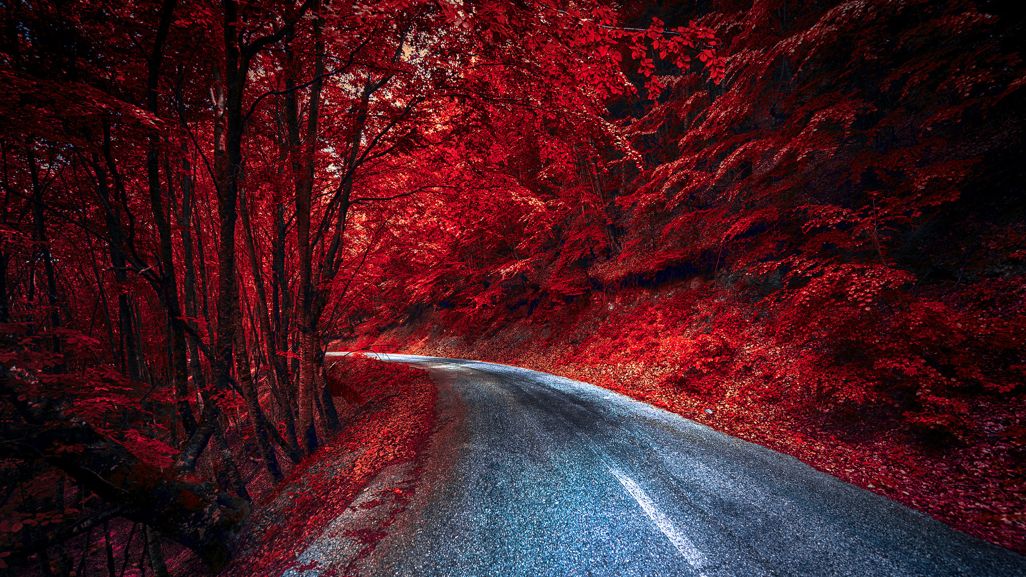 Красная дорога фото