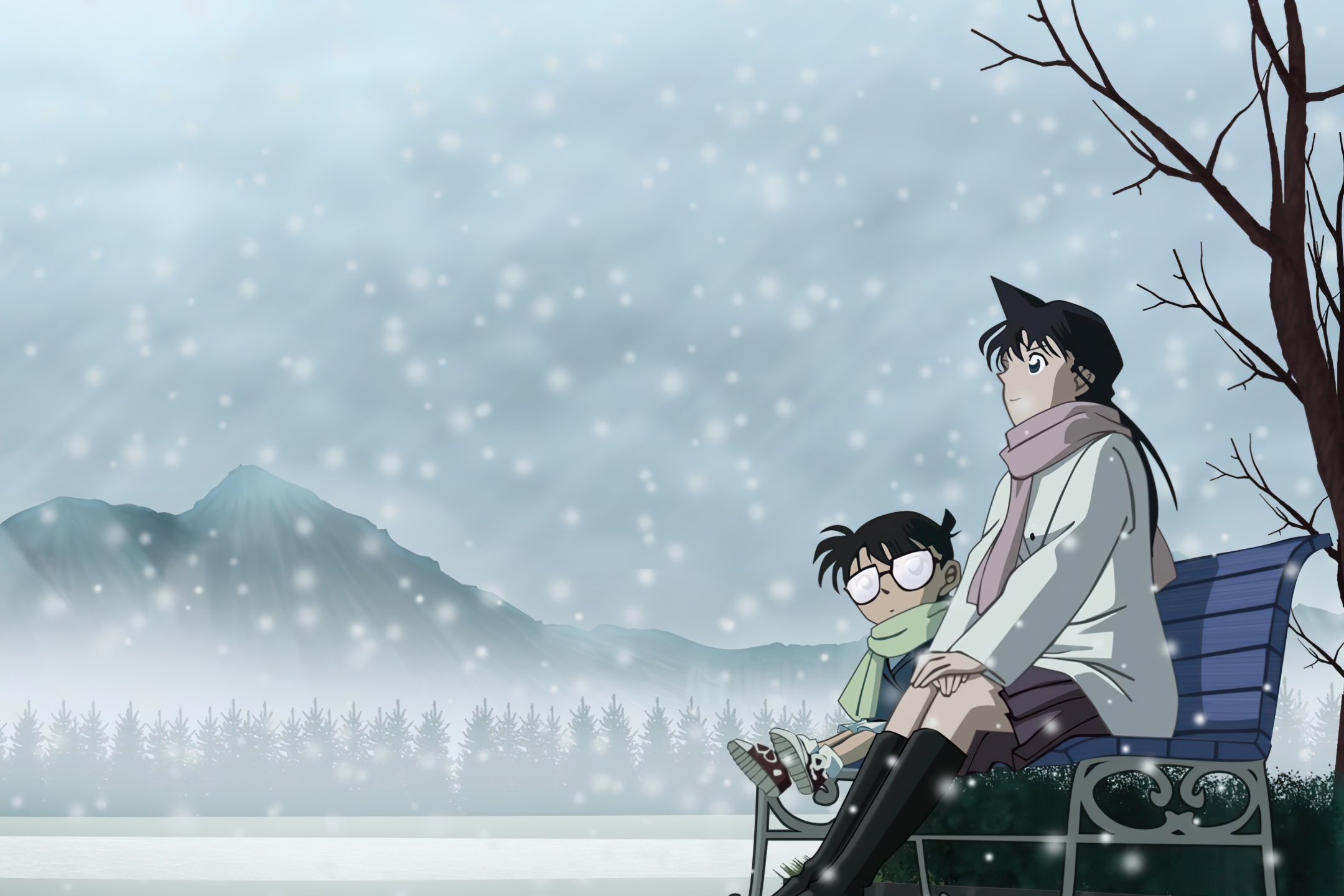 Detective Conan Shinichi Kudo Conan Edogawa Male HD wallpaper  Peakpx