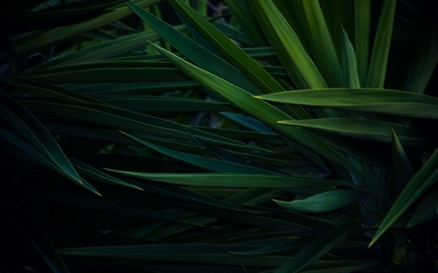 На фотографии черная коробка на зеленой траве слой расположенный ниже залит синим цветом