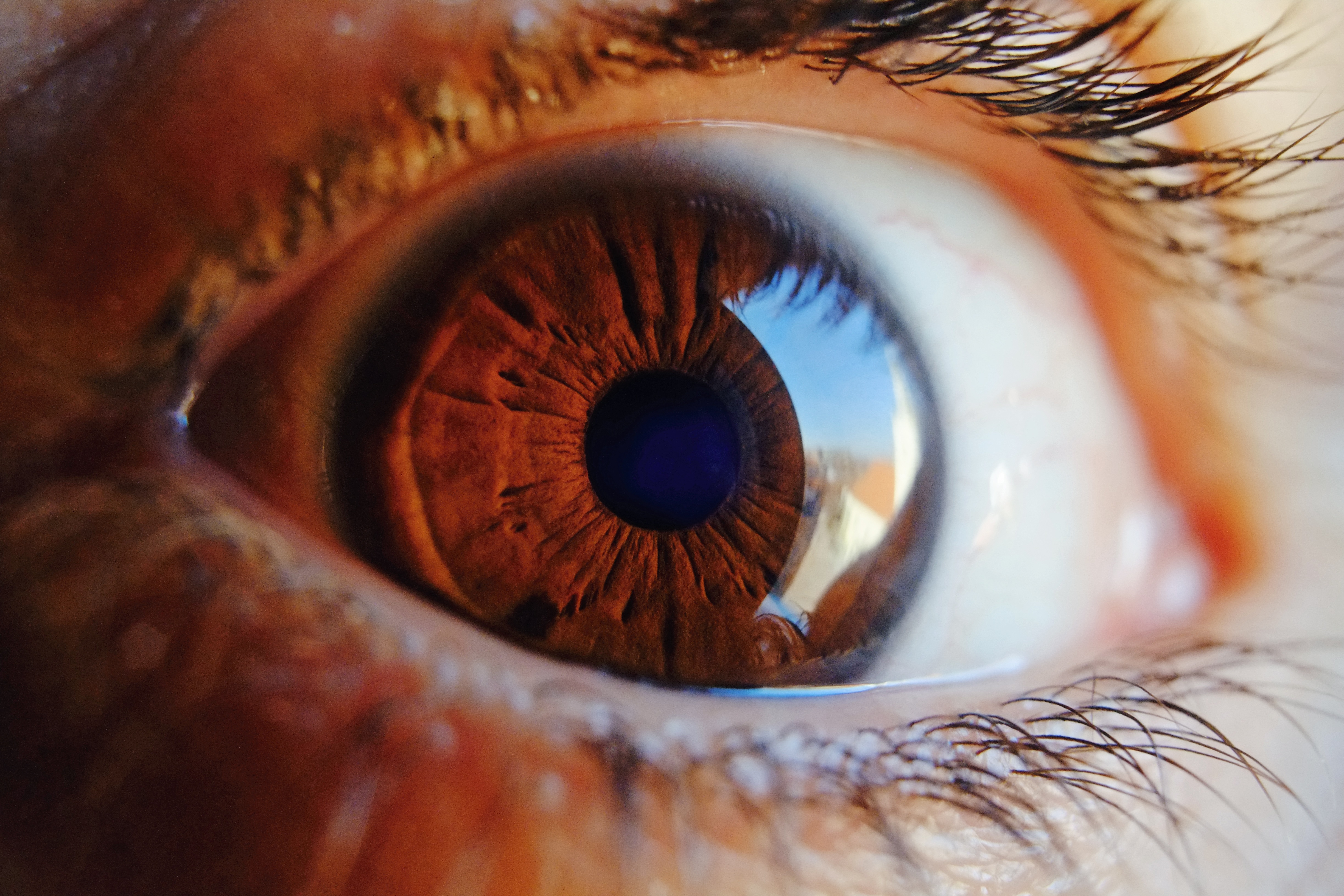 brown, pupil, macro, glare, close up, eye