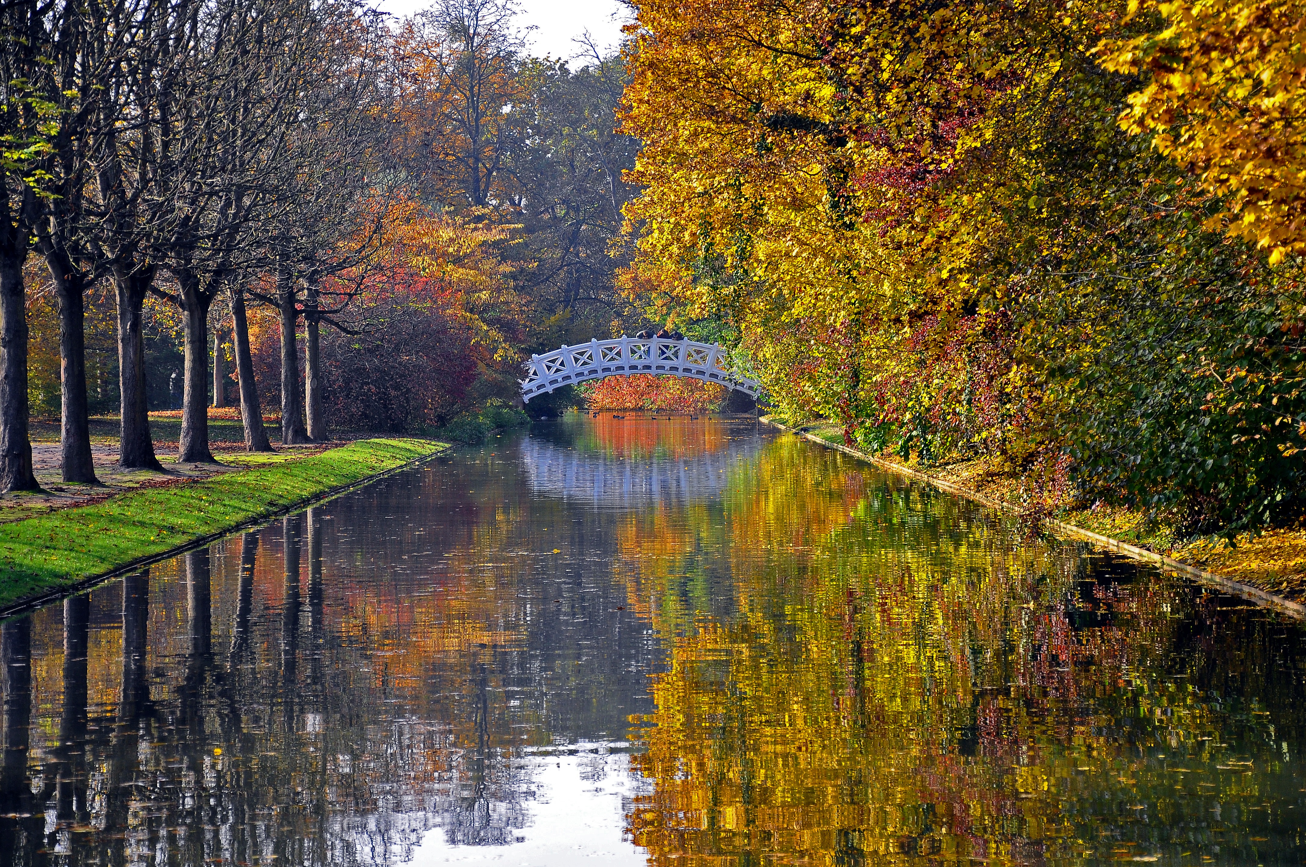 bridge, park, rivers, autumn, nature, trees, reflection