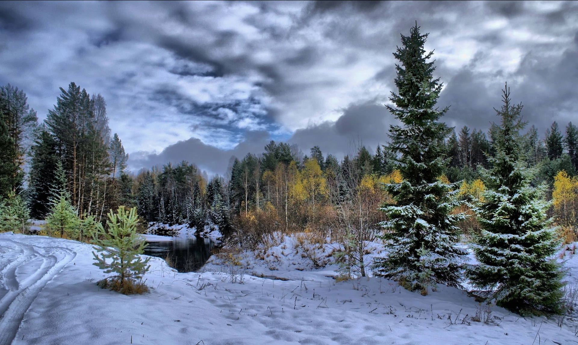 150930 Hintergrundbild herunterladen winter, natur, bäume, schnee, hauptsächlich bewölkt, bedeckt, spuren, wolken, aß, aßen, treten, beschützer - Bildschirmschoner und Bilder kostenlos