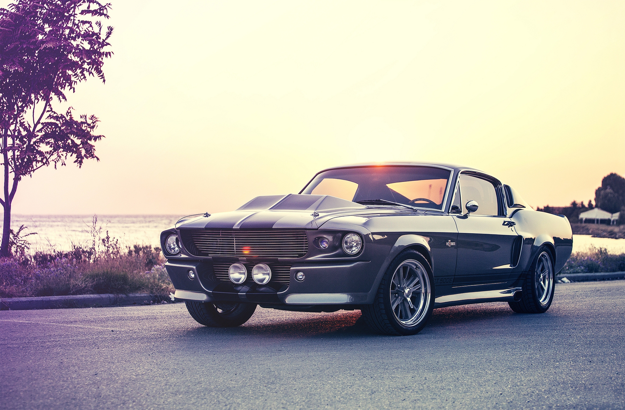 ford, eleanor, mustang, cars, shelby, gt500e