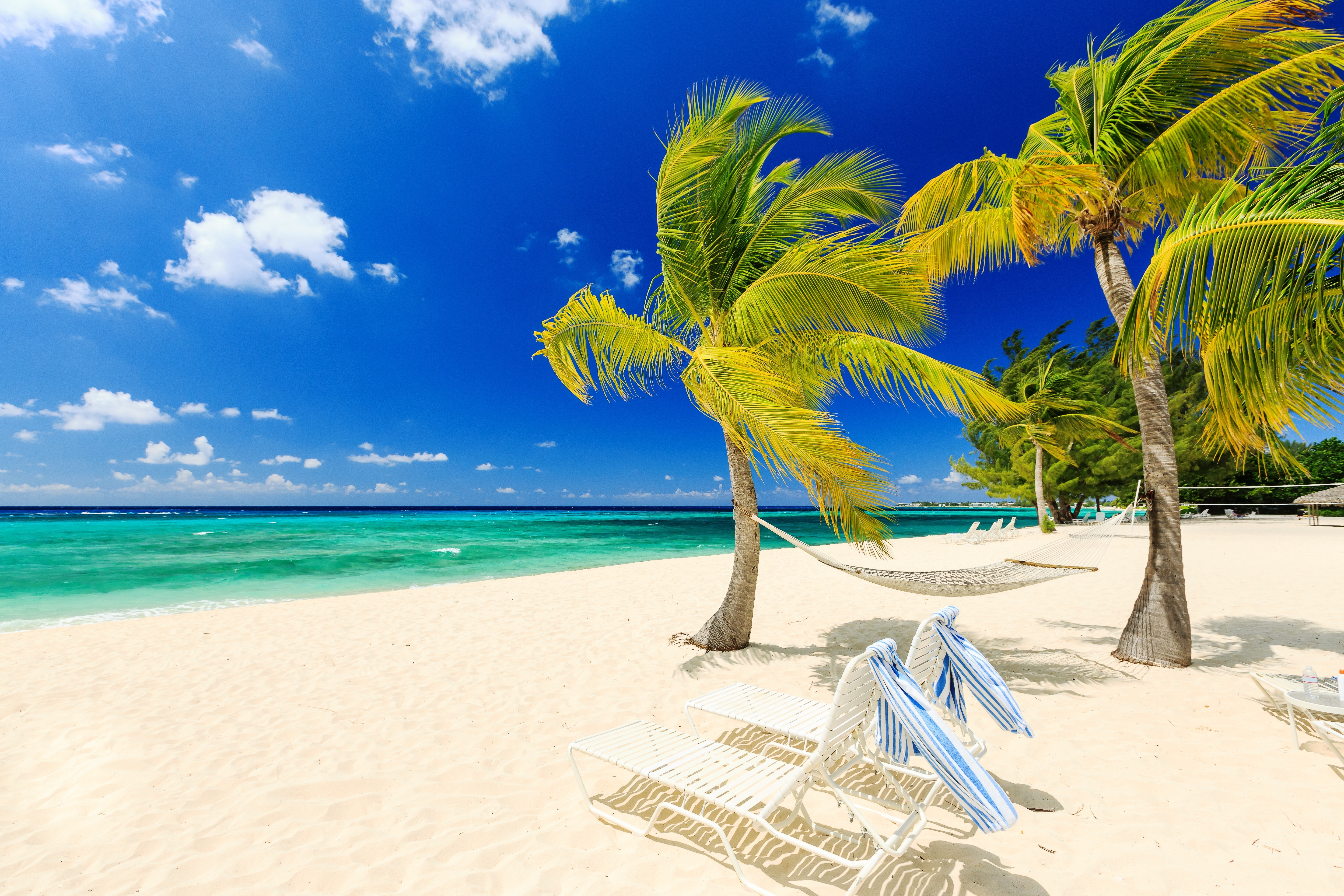 wind, palm tree, photography, beach, chair, hammock, horizon, ocean, sea, tropical