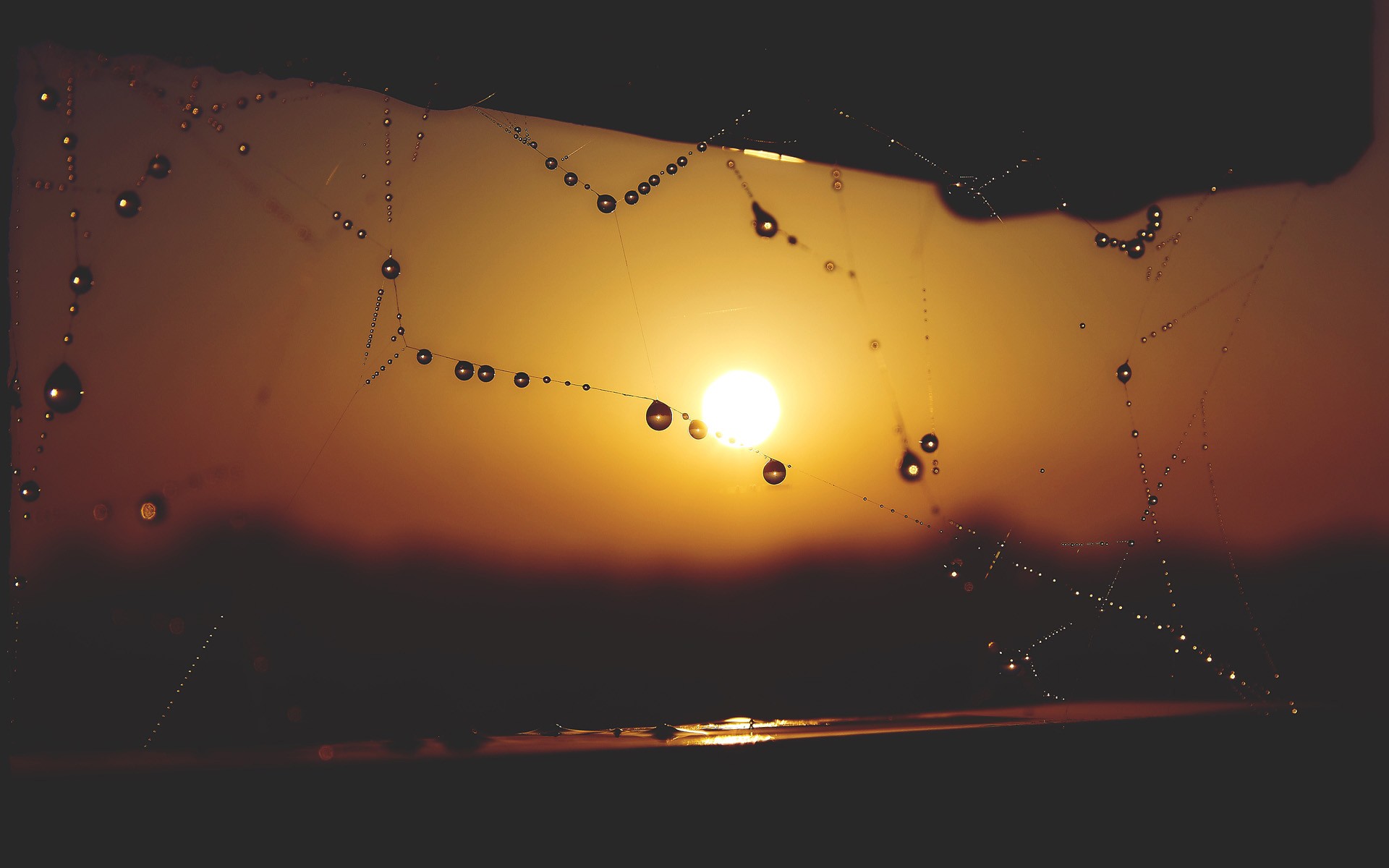 Download mobile wallpaper Sunset, Sun, Macro, Photography, Spider Web, Depth Of Field, Dew Drop for free.