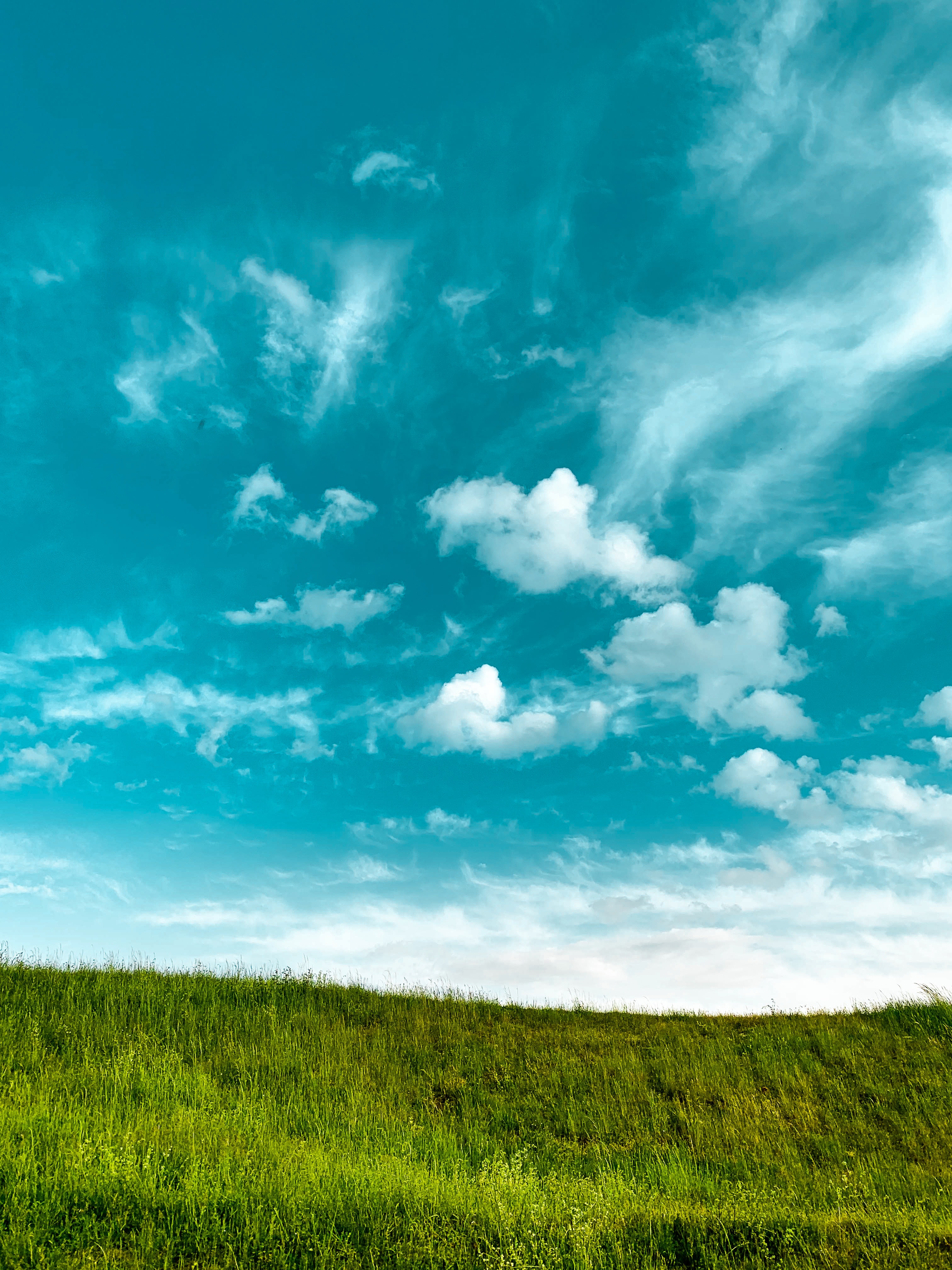 150607 免費下載壁紙 性质, 草, 天空, 云, 极简主义 屏保和圖片