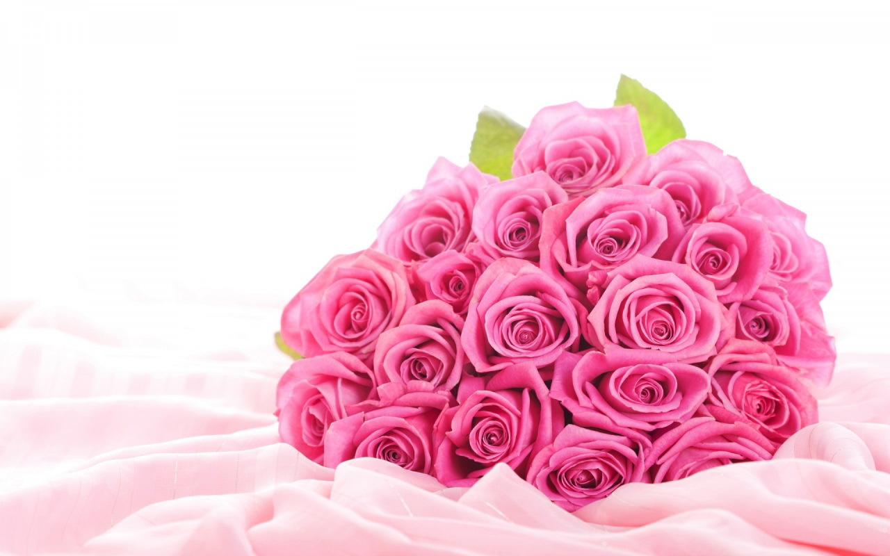Téléchargez des papiers peints mobile Bouquets, Plantes, Fleurs, Roses gratuitement.