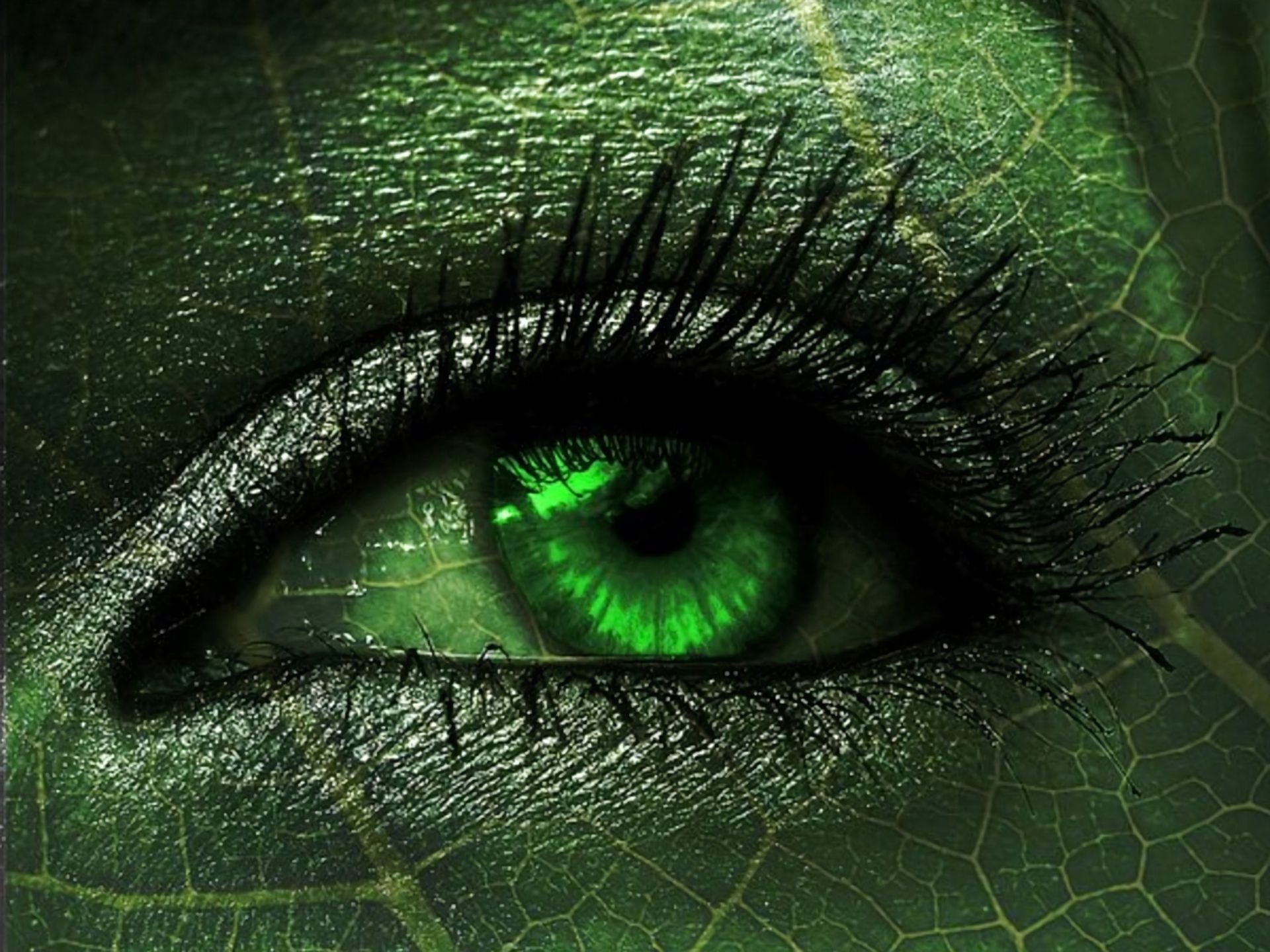 Зеленые глаза фото на рабочий стол
