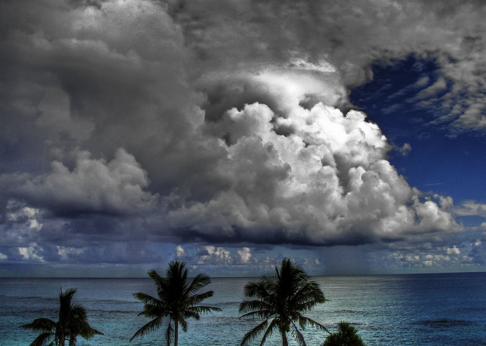 nature, sky, sea, clouds, palms, volumetric, voluminous Aesthetic wallpaper