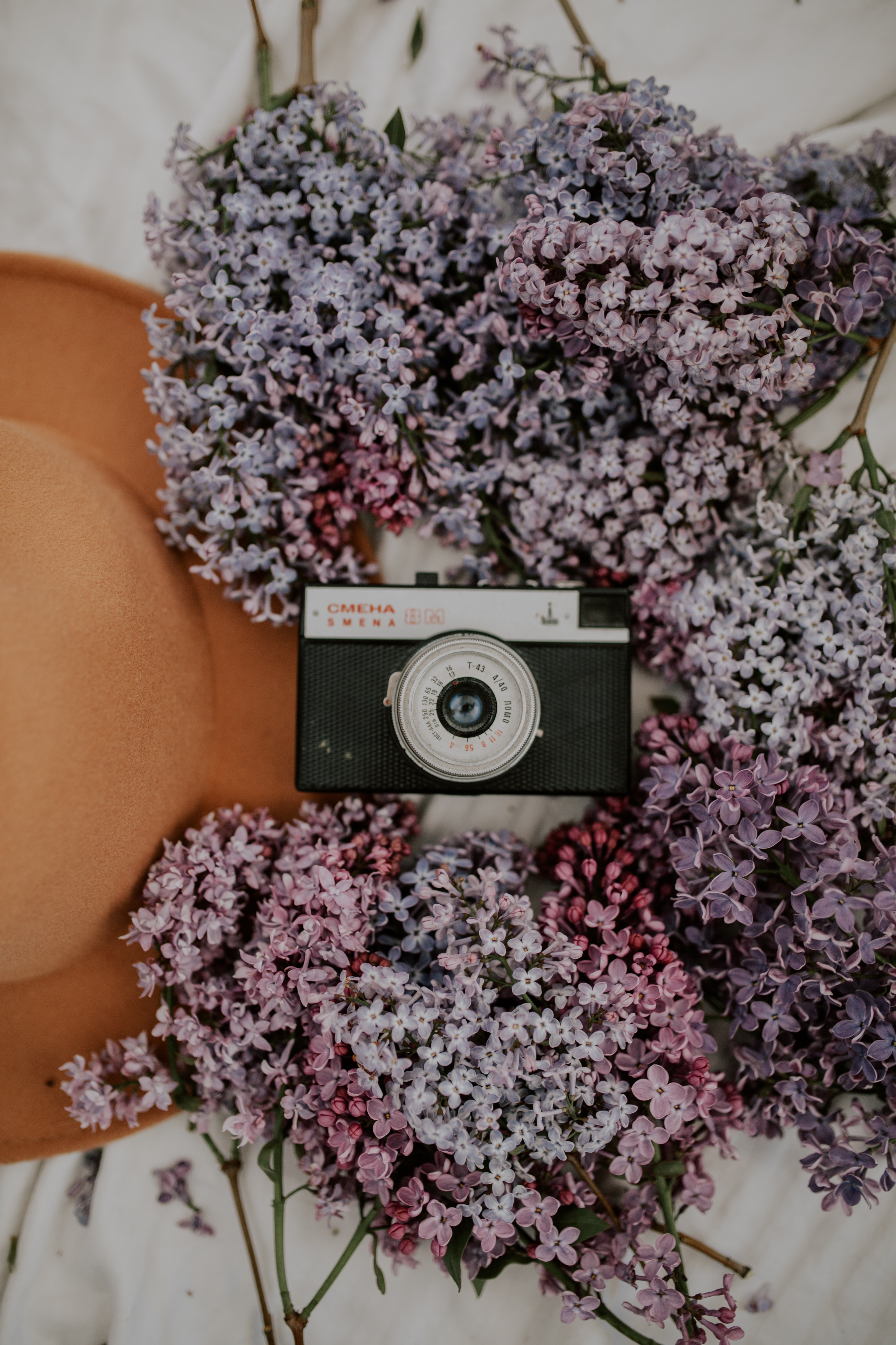 Laden Sie das Lilac, Kamera, Hut, Sonstige, Verschiedenes, Blumen, Retro-Bild kostenlos auf Ihren PC-Desktop herunter