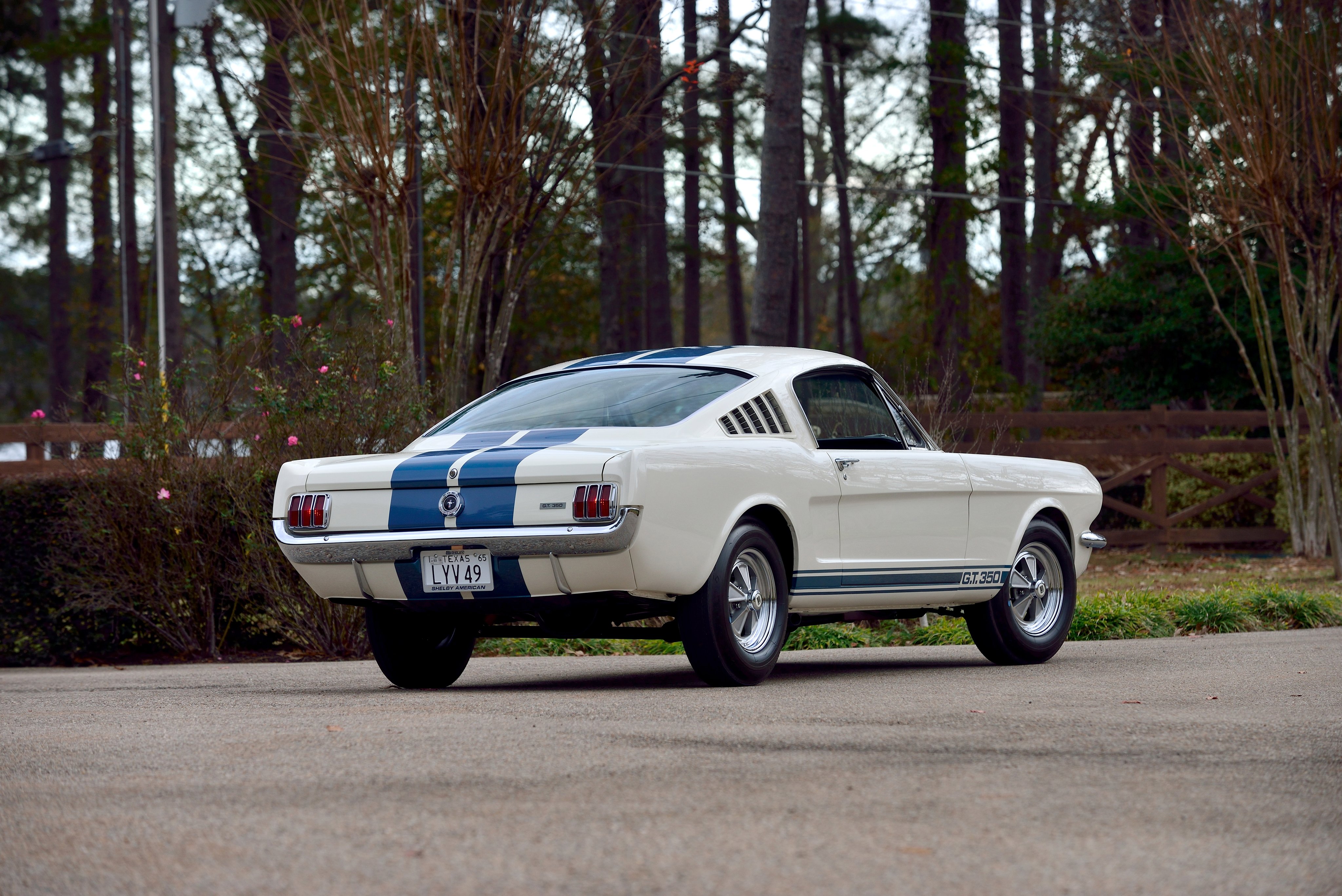 Ford Mustang Shelby Fastback 1965