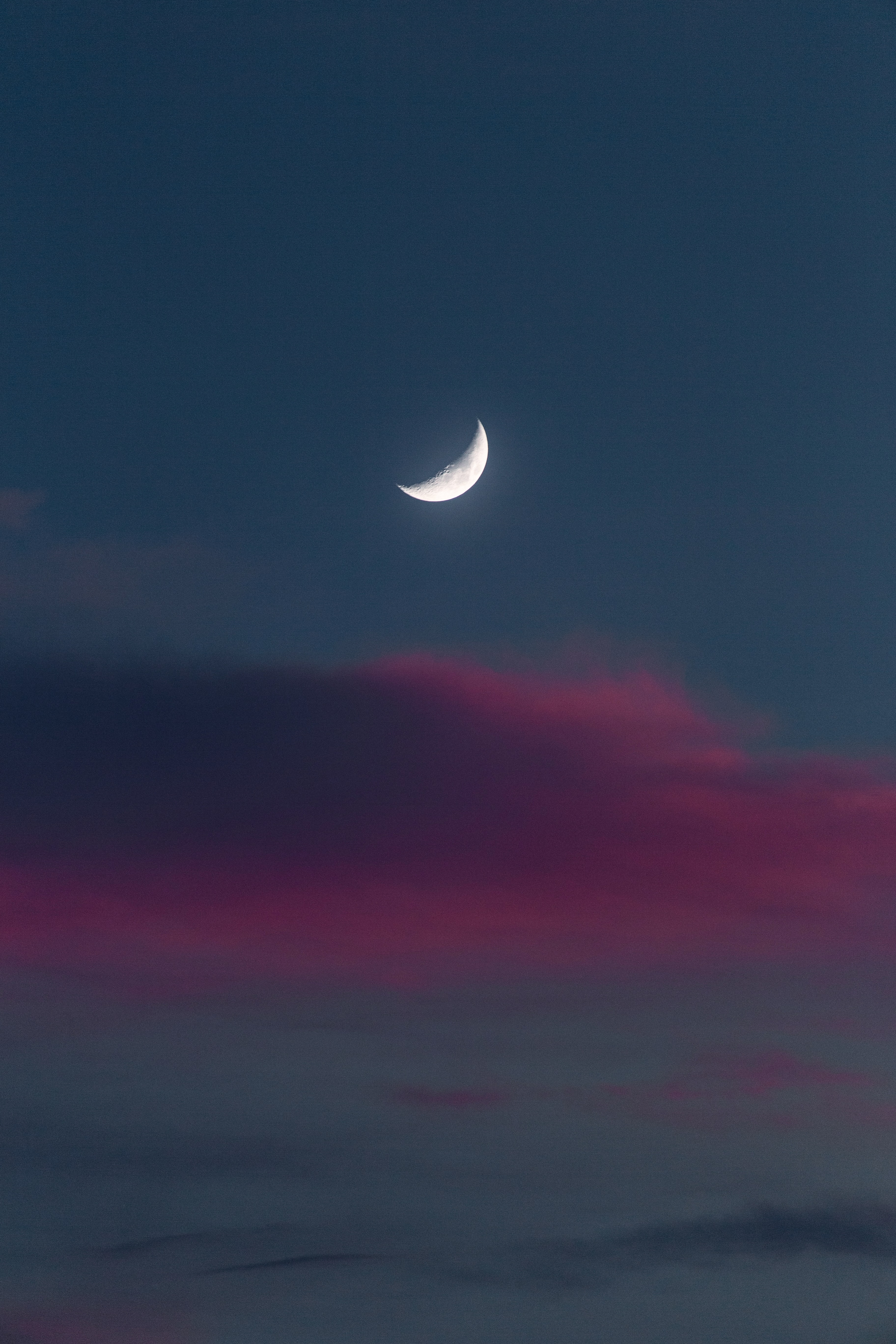 full moon, moon, nature, sunset, sky, evening HD wallpaper