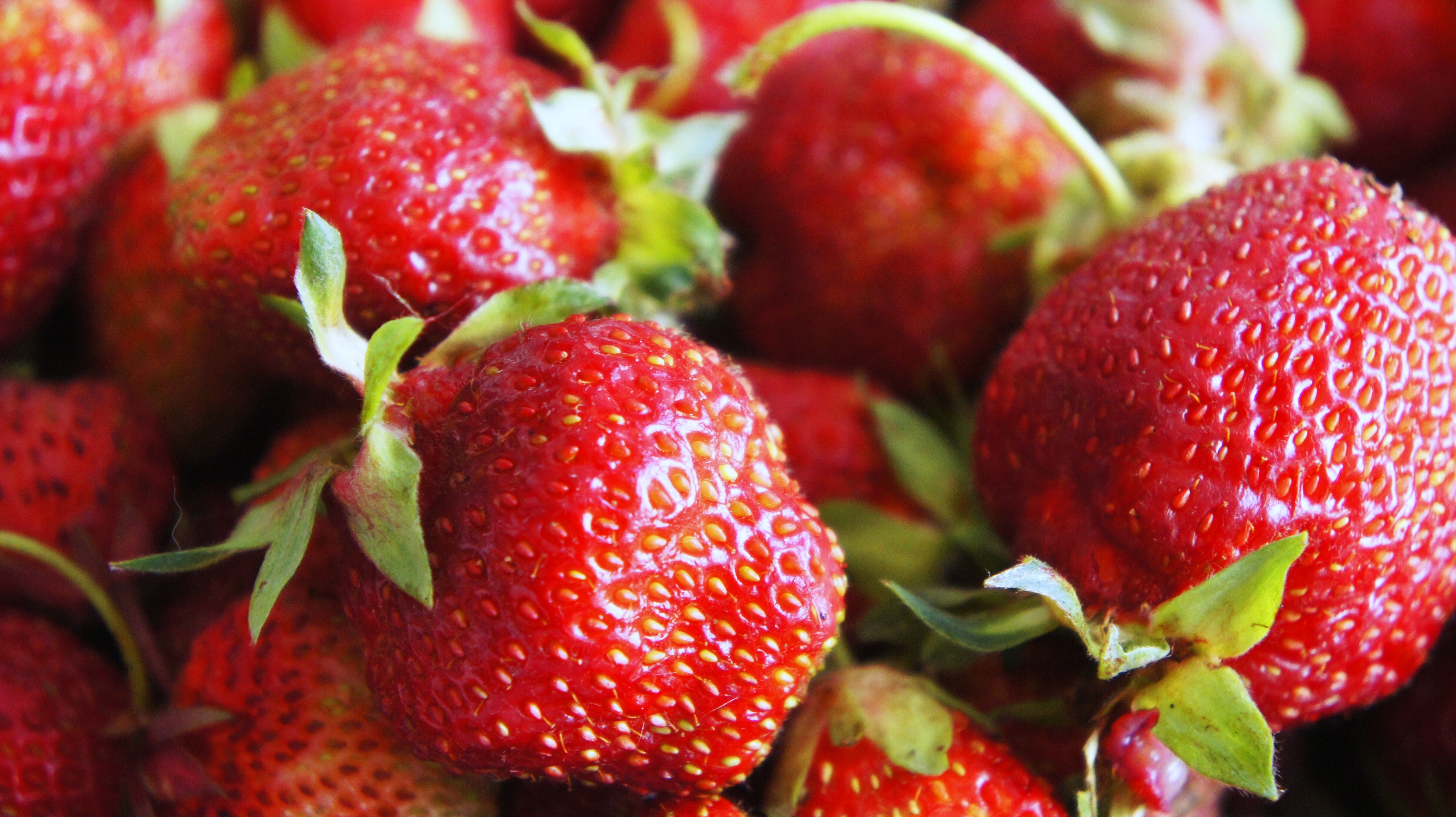 Laden Sie das Lebensmittel, Süss, Süß, Beere, Erdbeere-Bild kostenlos auf Ihren PC-Desktop herunter