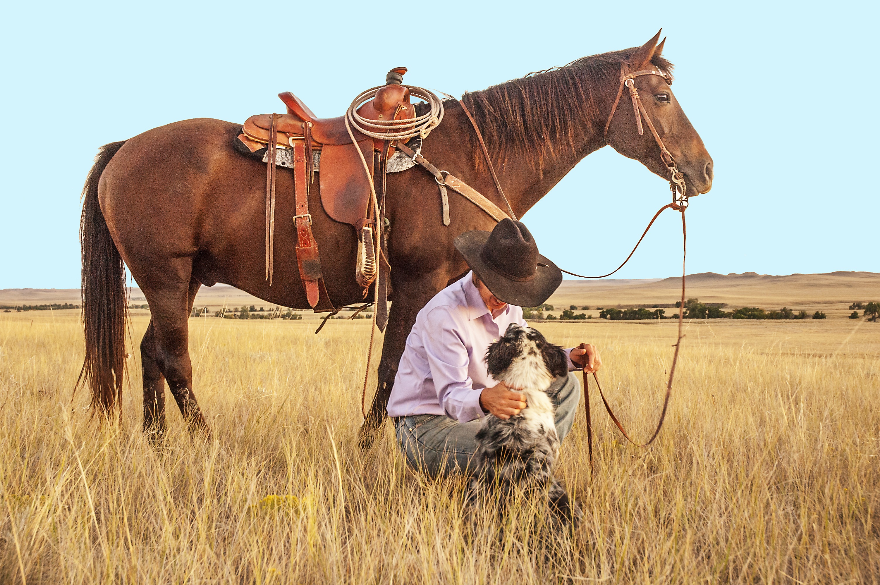 746834 免費下載壁紙 人, 牛仔, 狗, 马, 肖像, 牧场 屏保和圖片