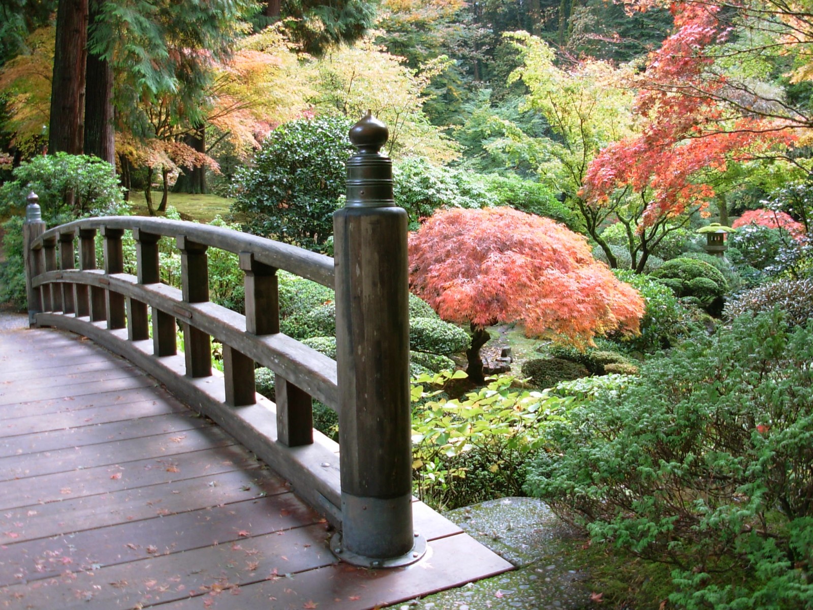 japan, bridges, man made, bridge, garden, tree