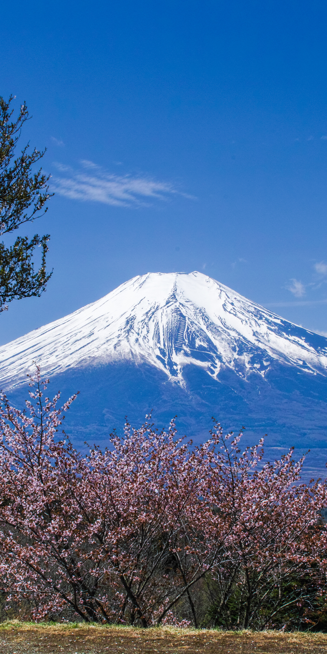1186037 baixar papel de parede terra/natureza, monte fuji, vulcão, cume, japão, vulcões - protetores de tela e imagens gratuitamente