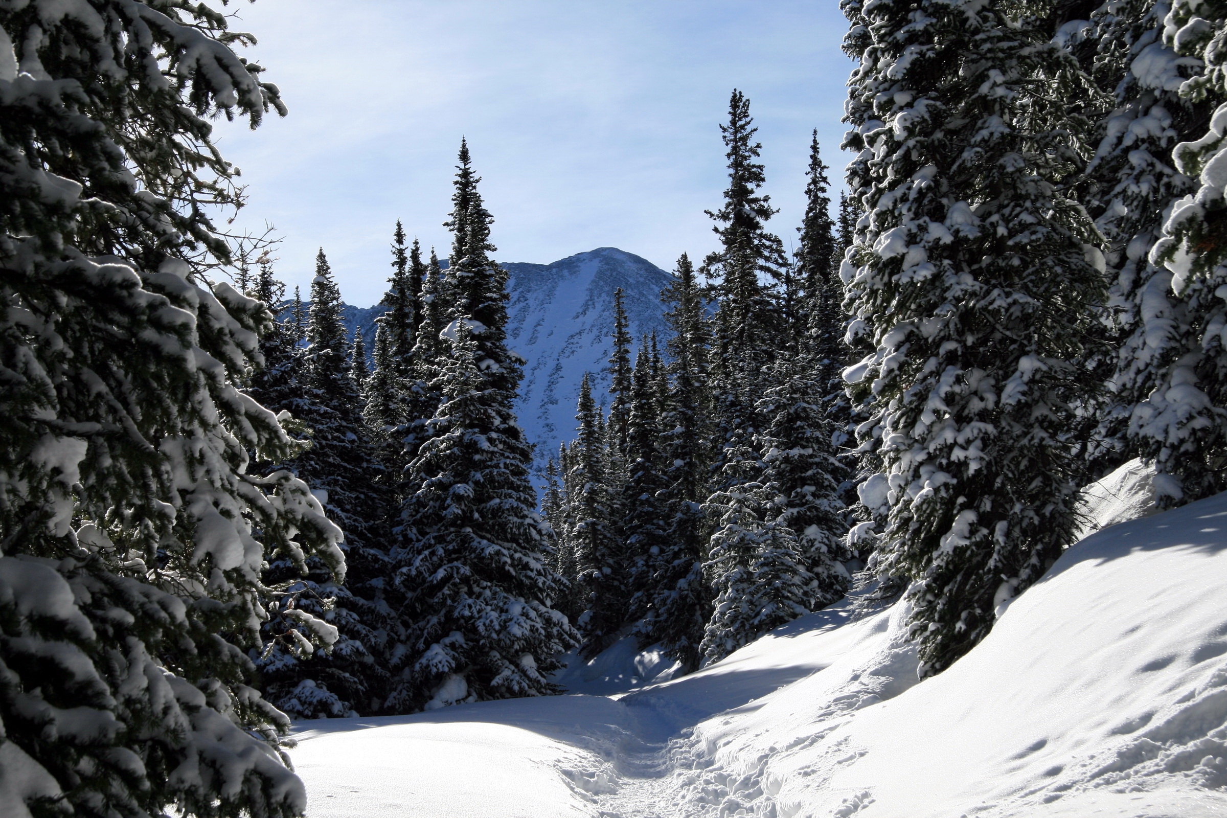 131754 Hintergrundbild herunterladen winter, natur, bäume, sky, mountains, schnee, wald, aß, aßen, colorado - Bildschirmschoner und Bilder kostenlos
