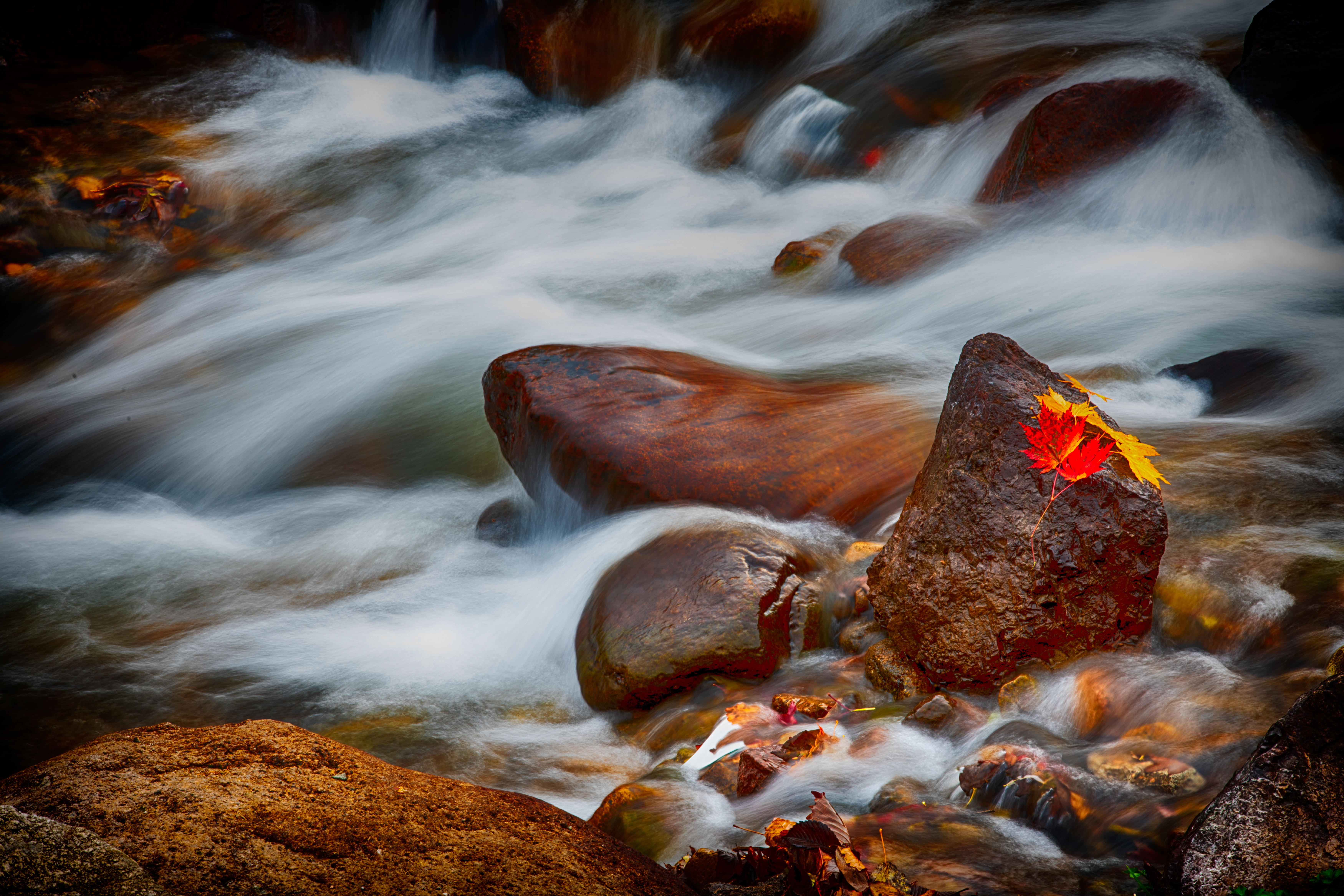 Download mobile wallpaper Stream, Nature, Rocks, Flow, Stones, Water, Leaves for free.