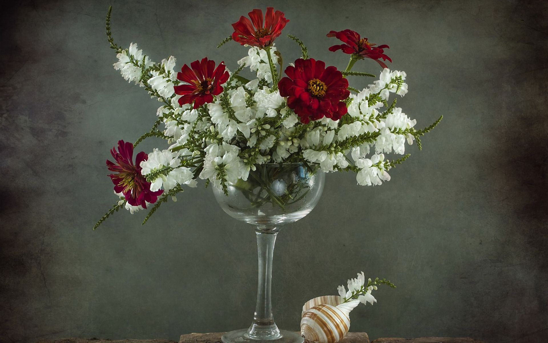 photography, still life, flower, goblet, red flower, shell, white flower High Definition image