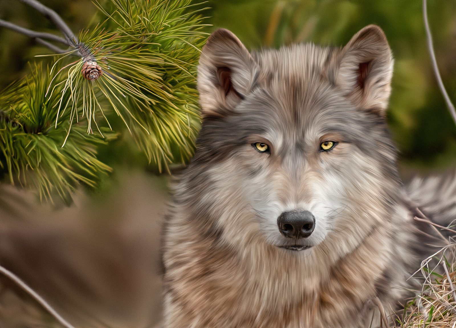 263438 Hintergrundbild herunterladen tiere, wolf, ölgemälde, wolves - Bildschirmschoner und Bilder kostenlos