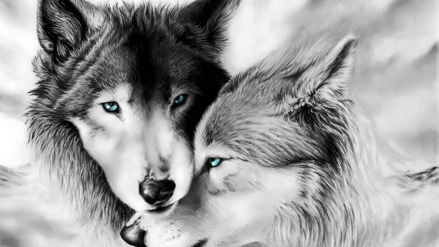 картинки волков красивые нарисованные
