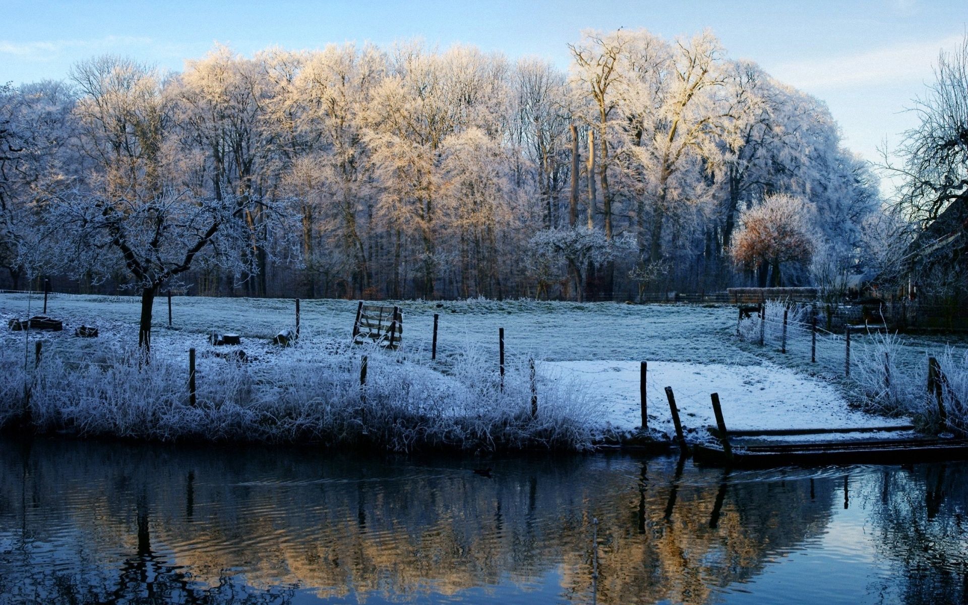 enclosure, autumn, nature, lake, morning, frost, hoarfrost, fencing, november