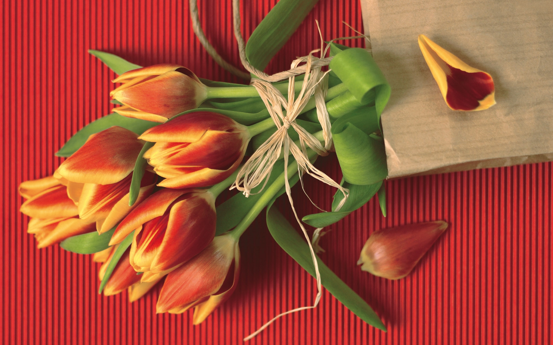 Descarga gratuita de fondo de pantalla para móvil de Plantas, Flores, Bouquets, Tulipanes.