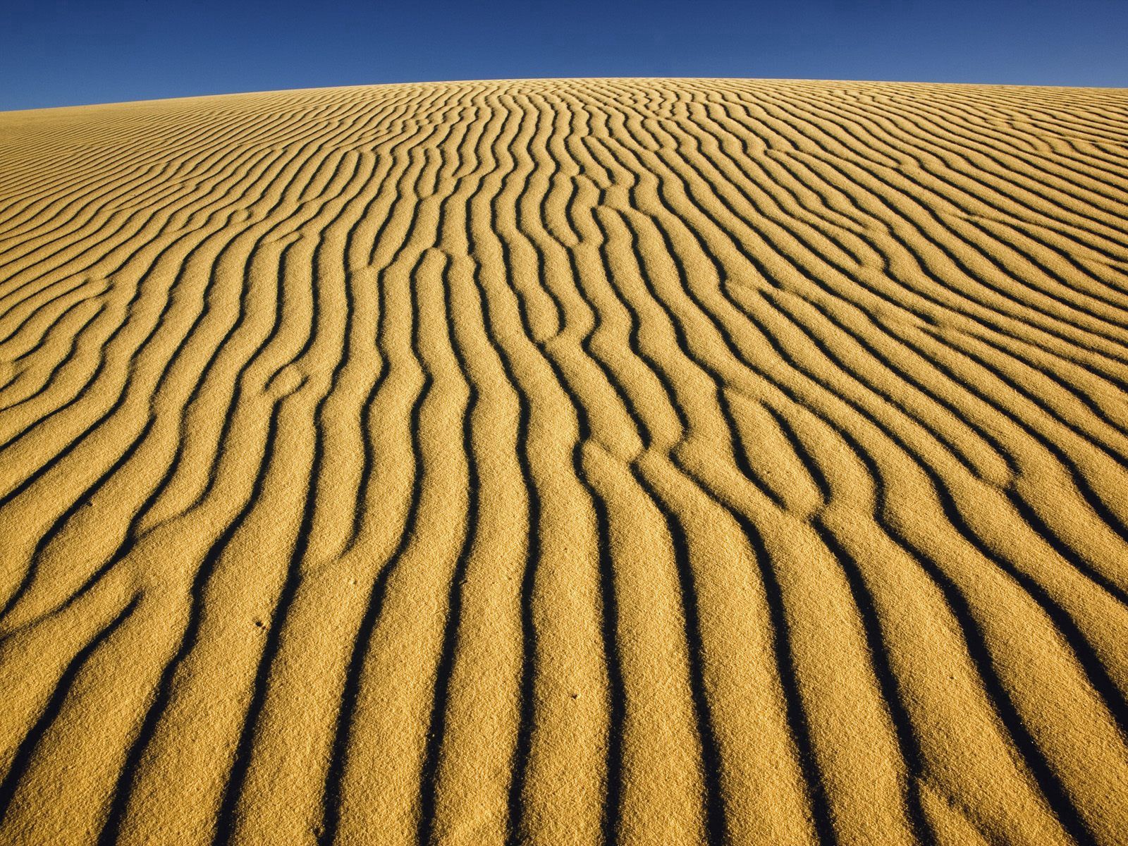 Lock Screen PC Wallpaper dunes, nature, sand, desert, patterns, lines, stripes, streaks, links