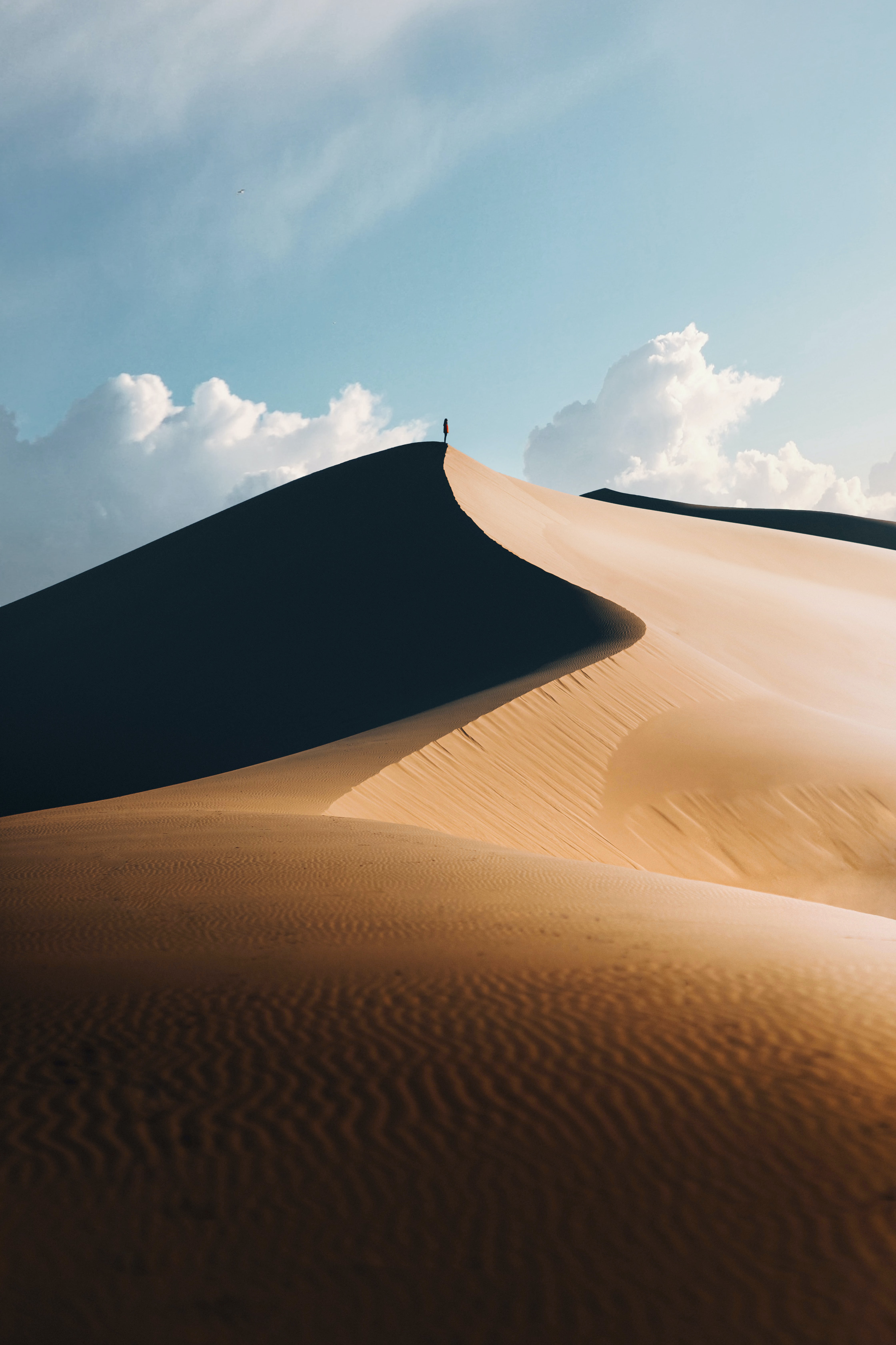 Handy-Wallpaper Silhouette, Einsam, Natur, Allein, Sand, Wüste kostenlos herunterladen.