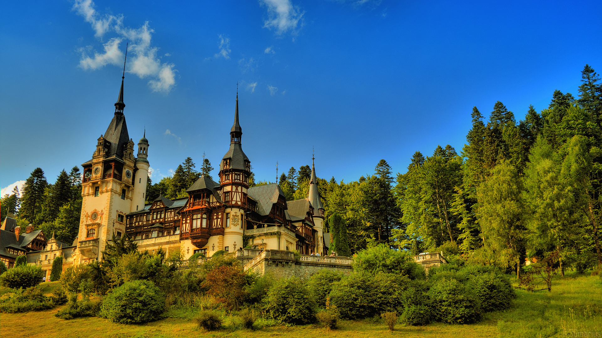 Замок в Румынии в лесу