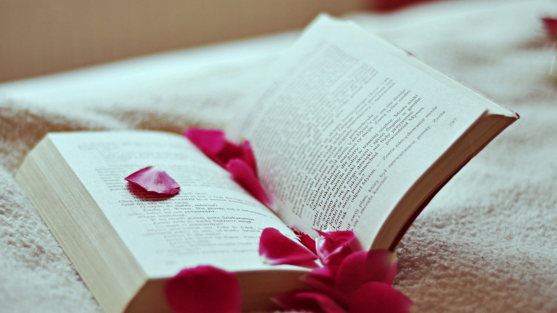 Download mobile wallpaper Miscellanea, Miscellaneous, Petals, Rose, Rose Flower, Book, Reading for free.