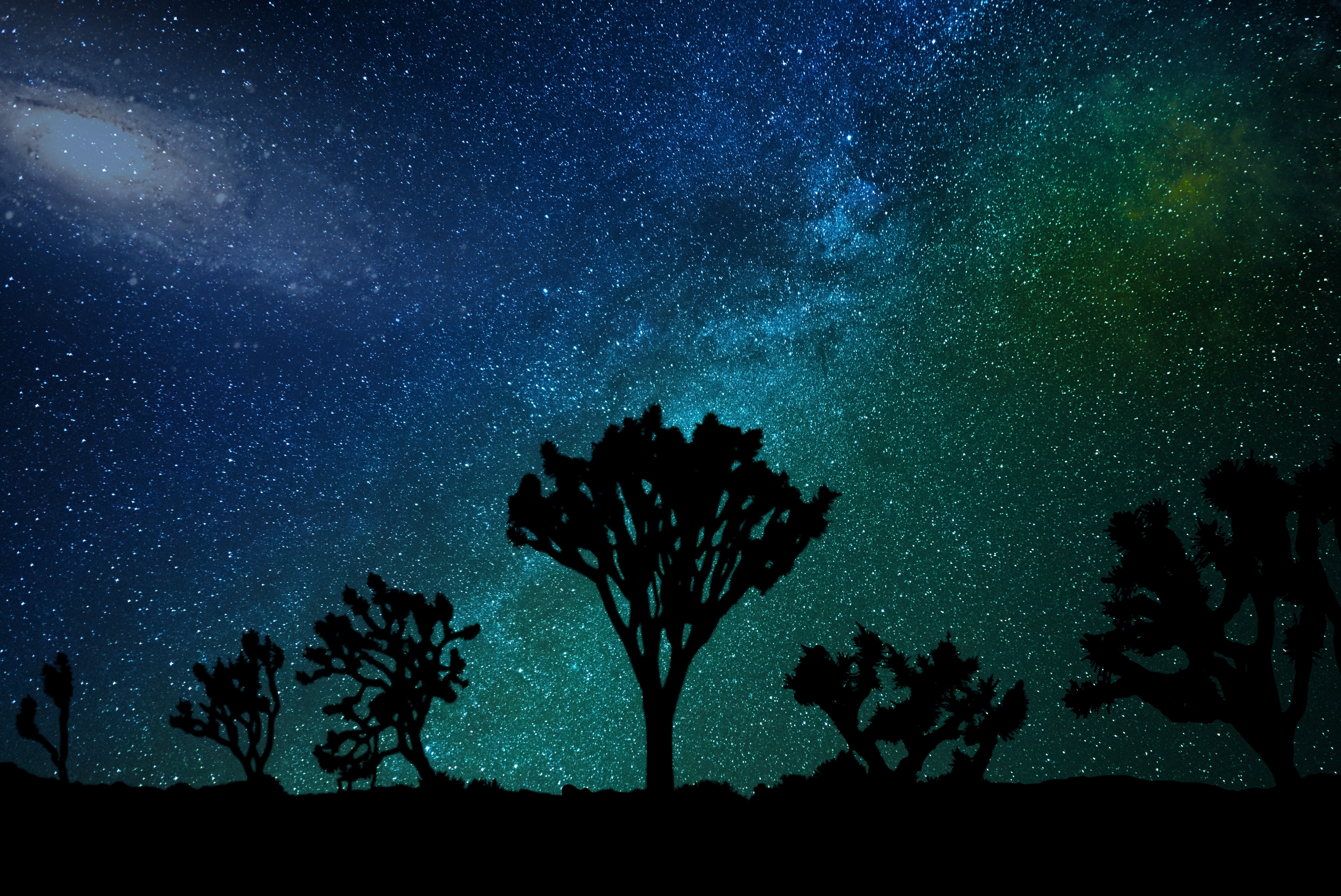 Download mobile wallpaper Joshua Tree, Nature, Starry Sky, Milky Way for free.
