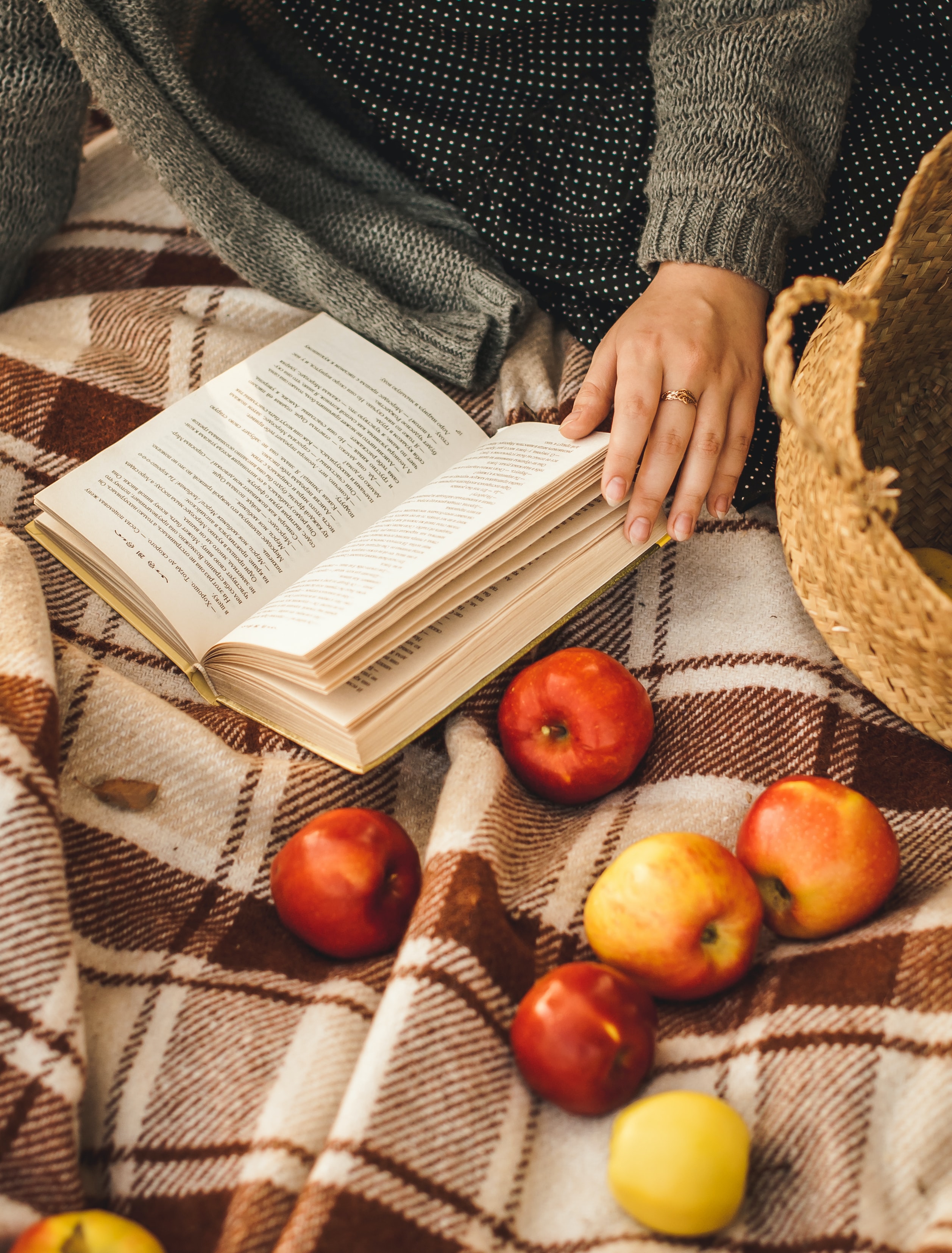 relaxation, apples, hand, miscellanea, miscellaneous, rest, book, plaid 4K