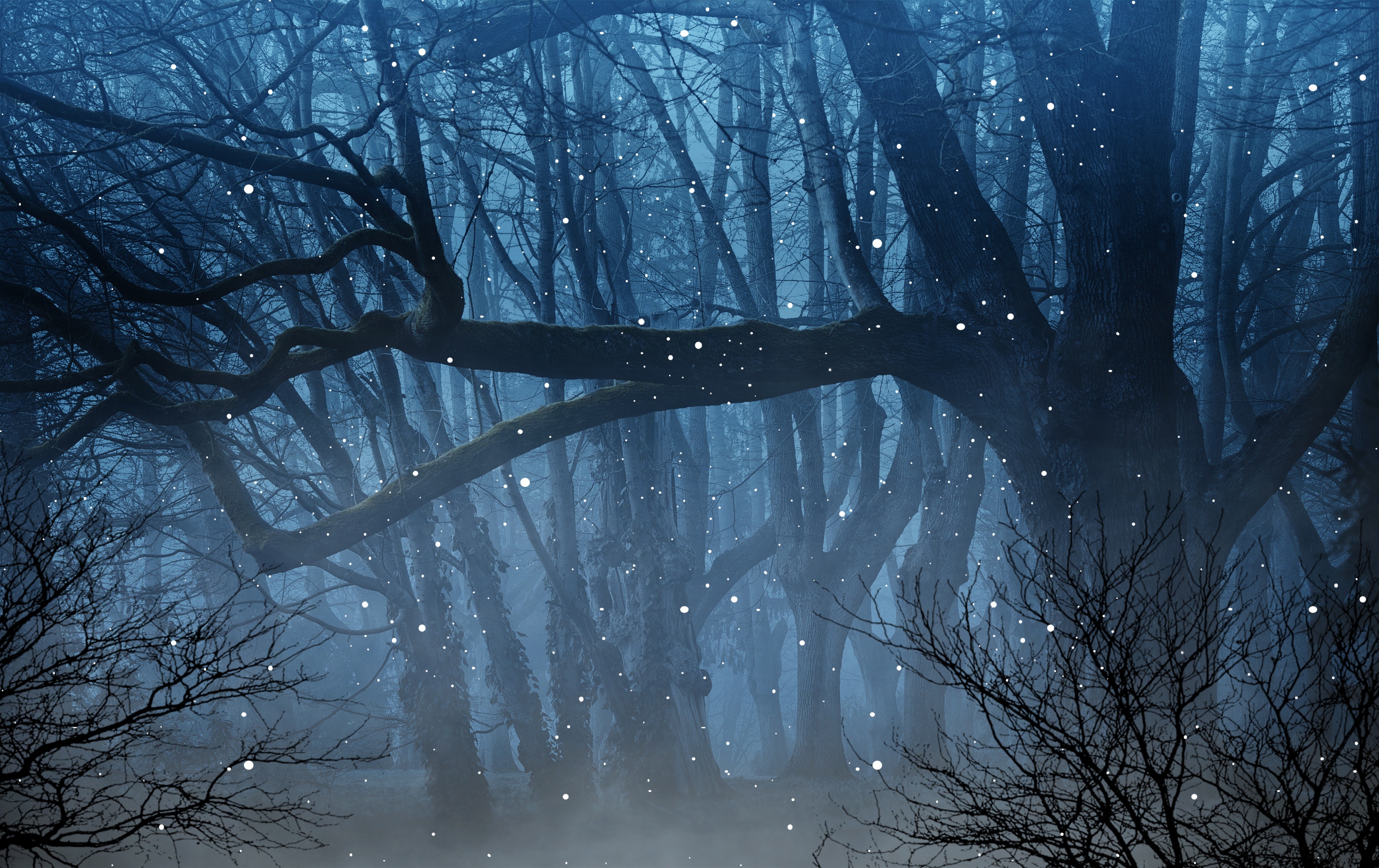 nature, fireflies, forest, fog, branches 4K Ultra