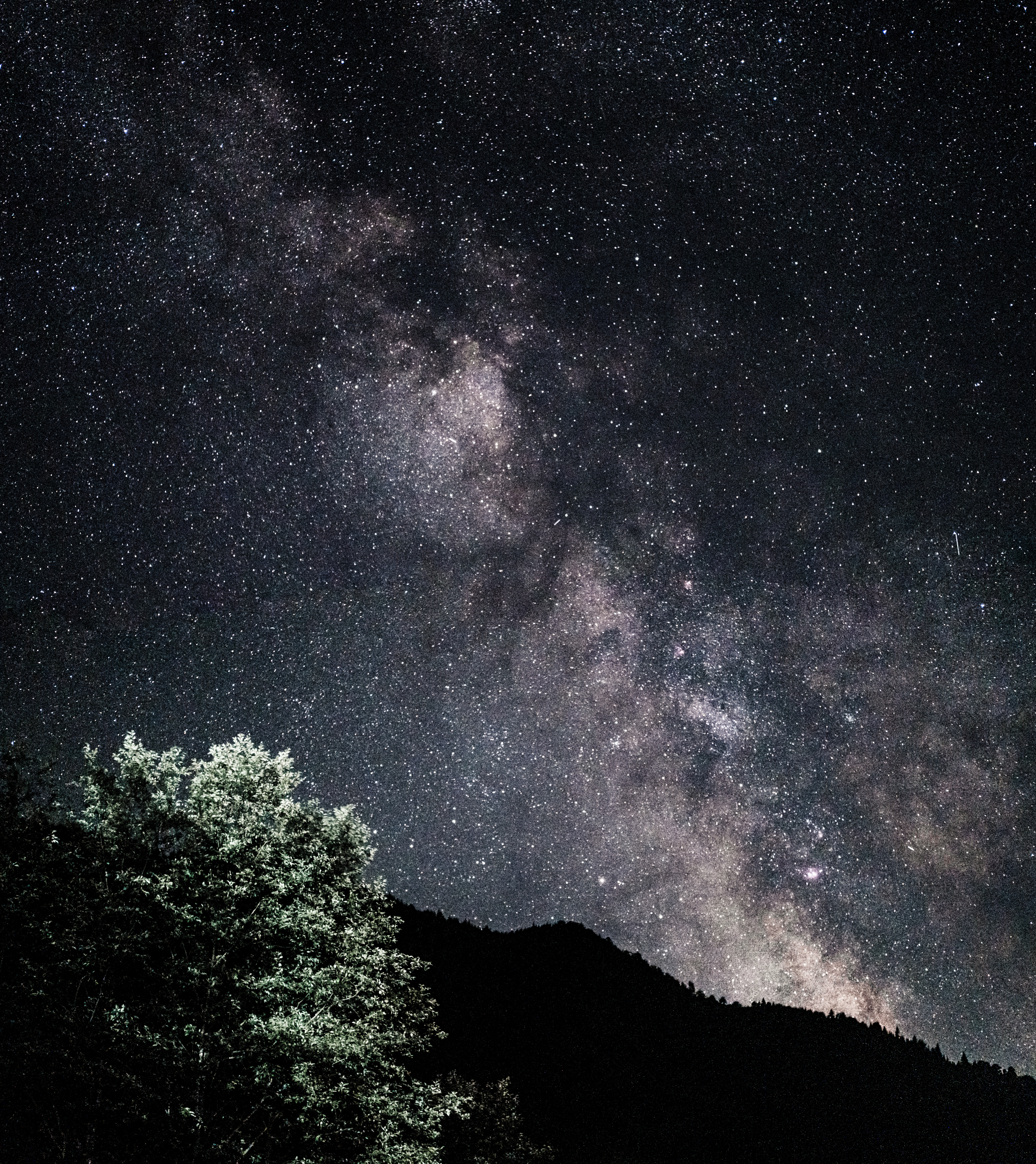 145252 descargar imagen nebulosa, estrellas, arbusto, oscuro, cielo estrellado, las colinas, colinas: fondos de pantalla y protectores de pantalla gratis