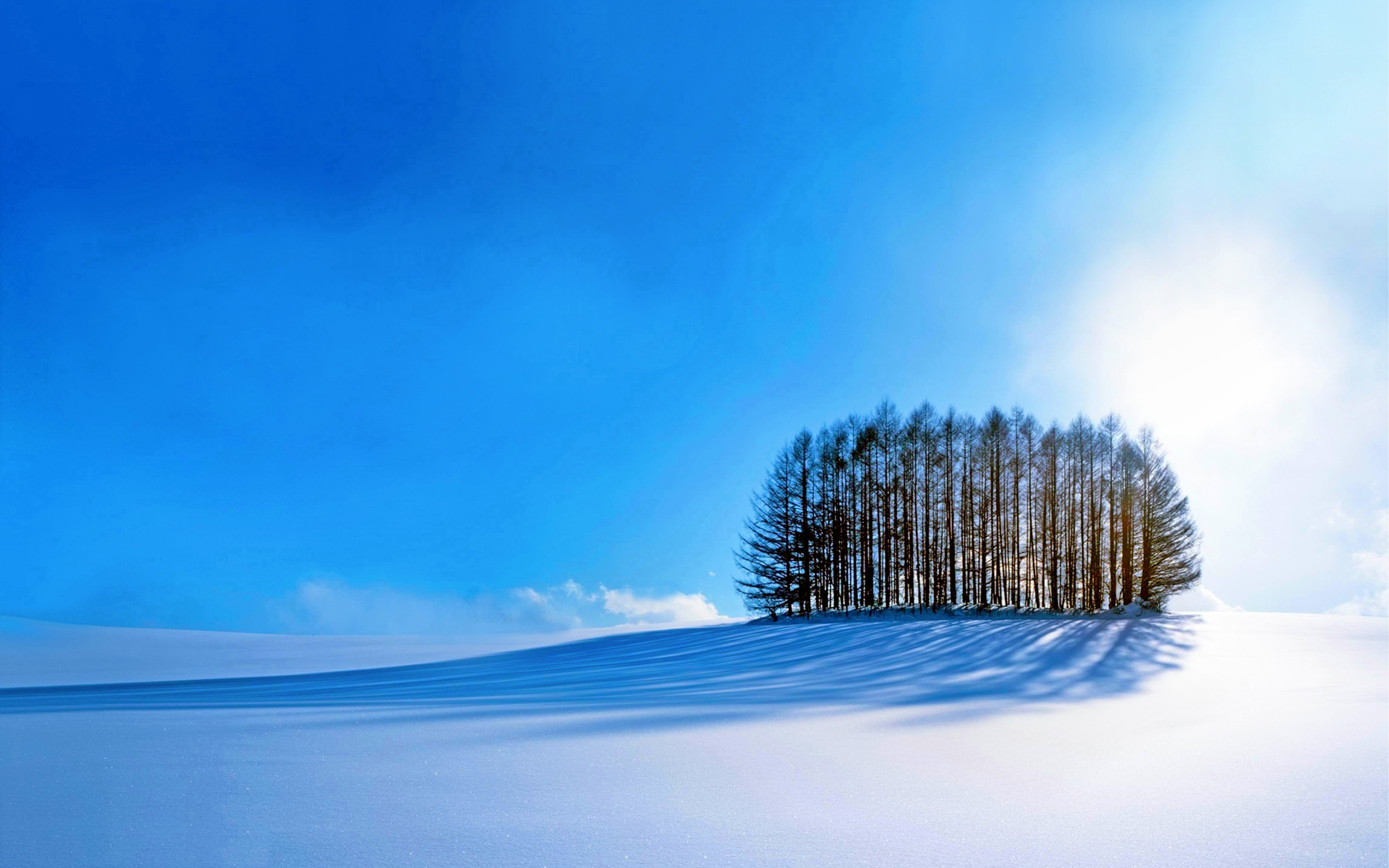 1492603 免費下載壁紙 自然, 冬季, 蓝色的, 天空, 雪, 晴天, 树, 白色的 屏保和圖片