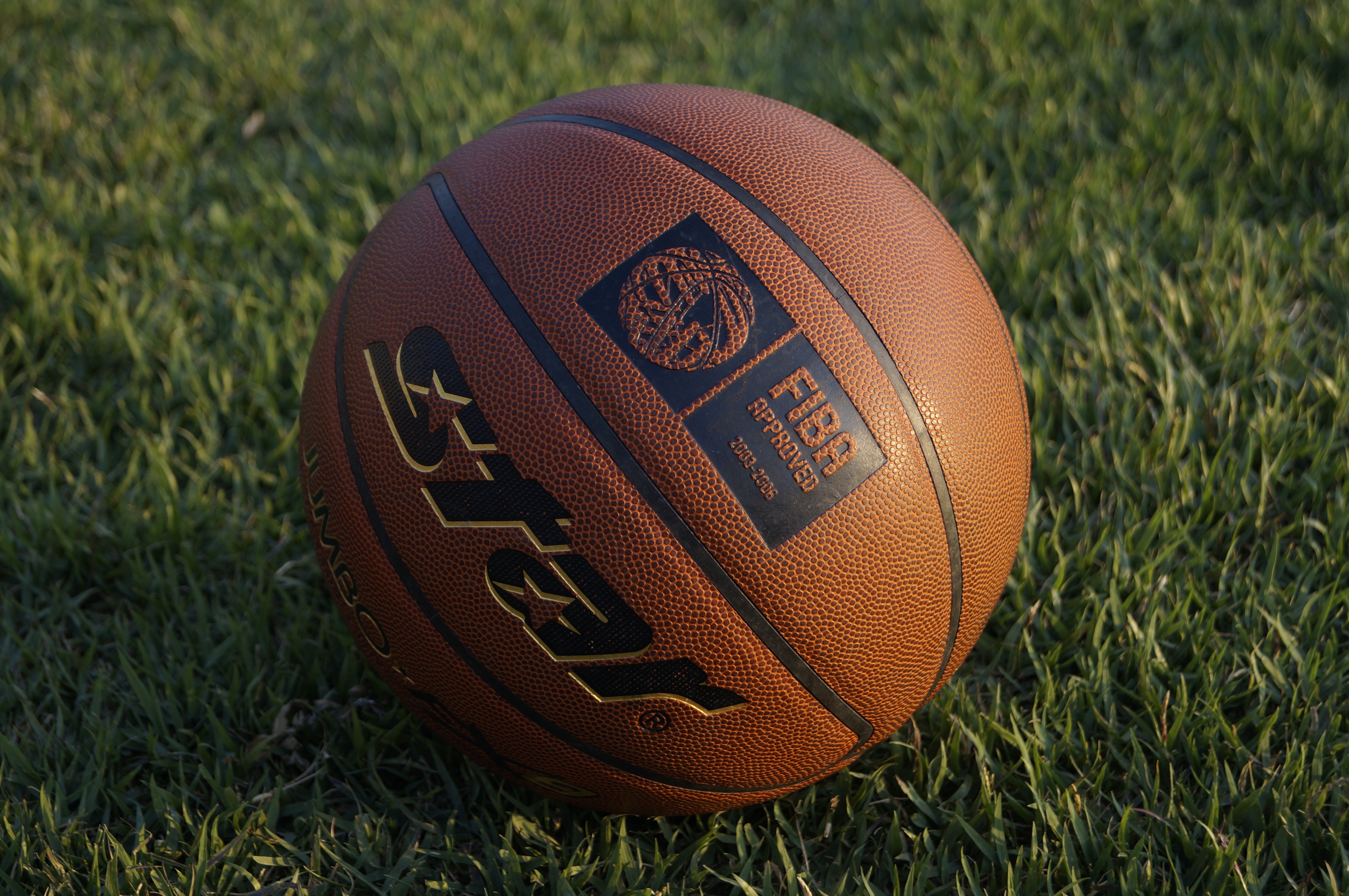 basketball, sports, grass, ball UHD