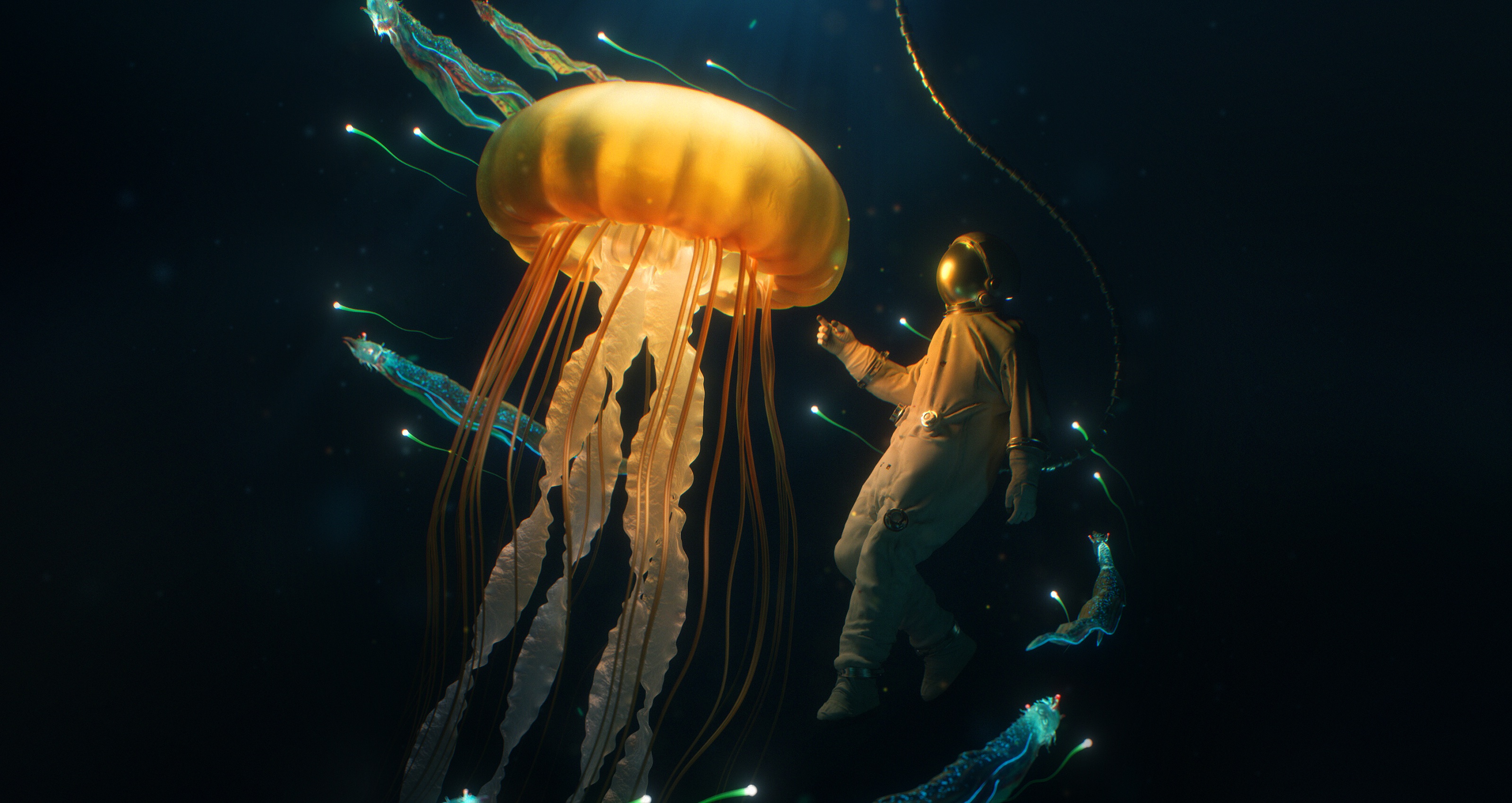 955722 скачать картинку фэнтези, подводный, дайвер, медуза - обои и заставки бесплатно