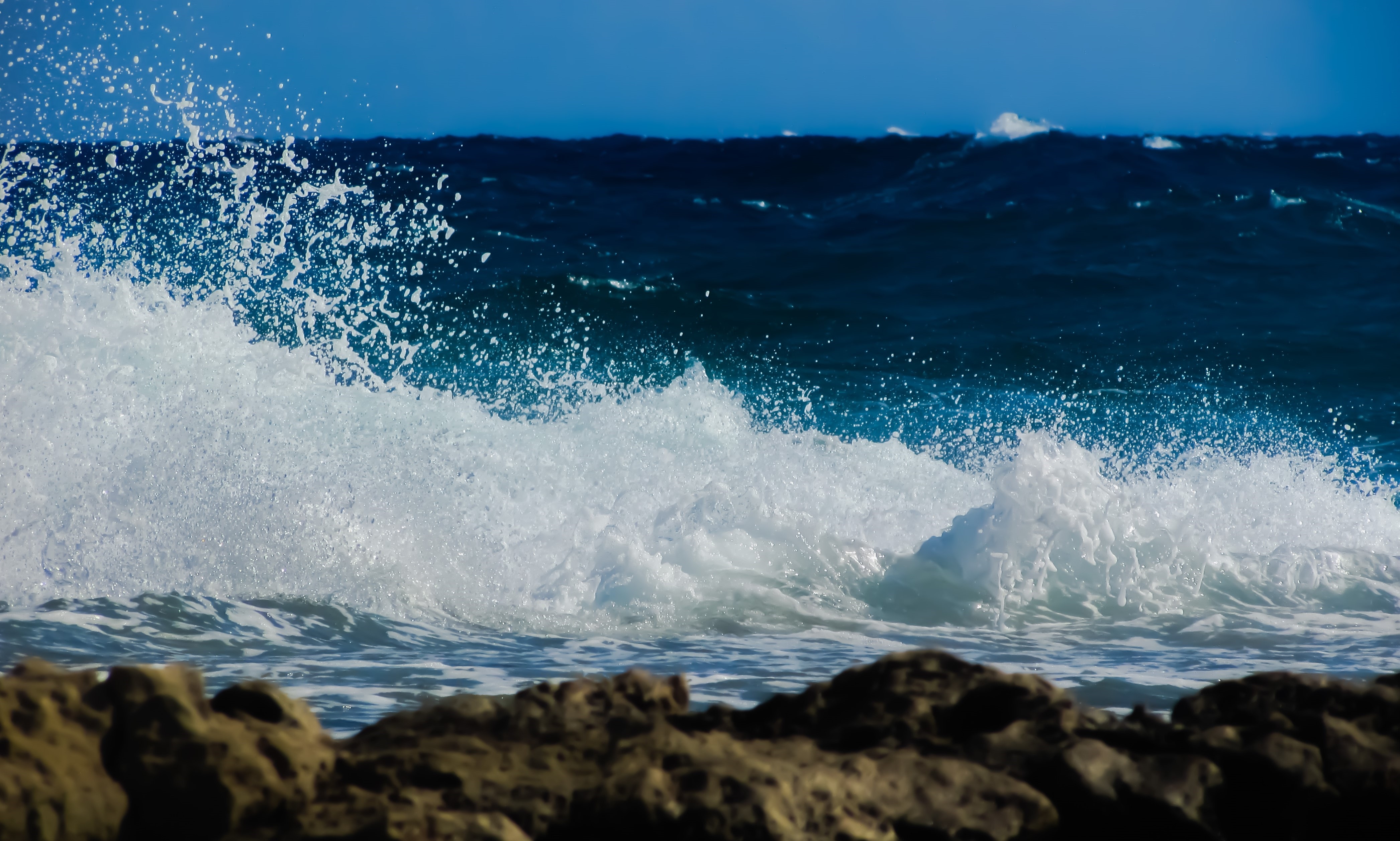 wave, nature, spray, foam, surf Free Stock Photo