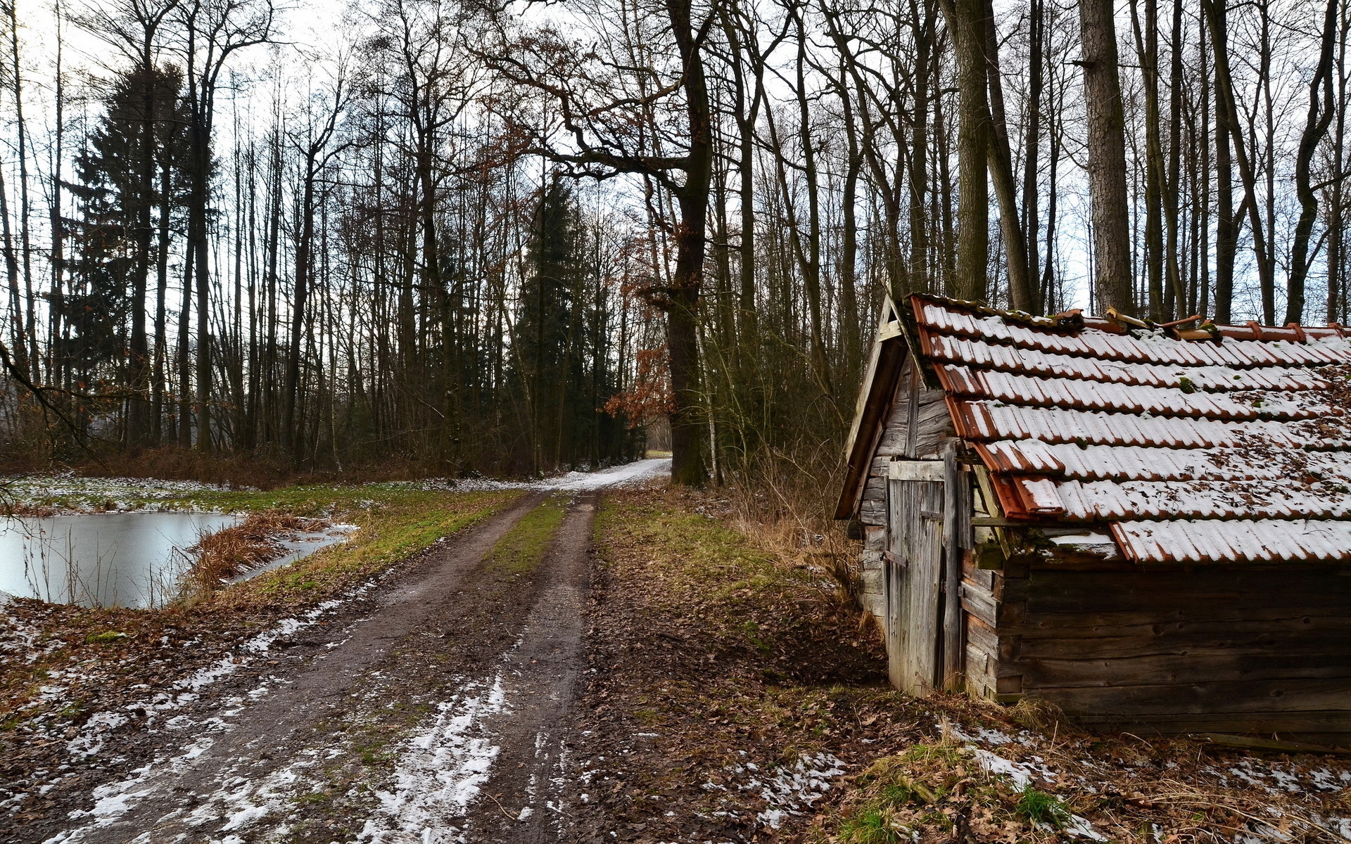 Сели в лесах. Заброшенный дом в лесу. Старая деревня в лесу. Заброшенное поселение в лесу. Заброшенная сторожка в лесу.