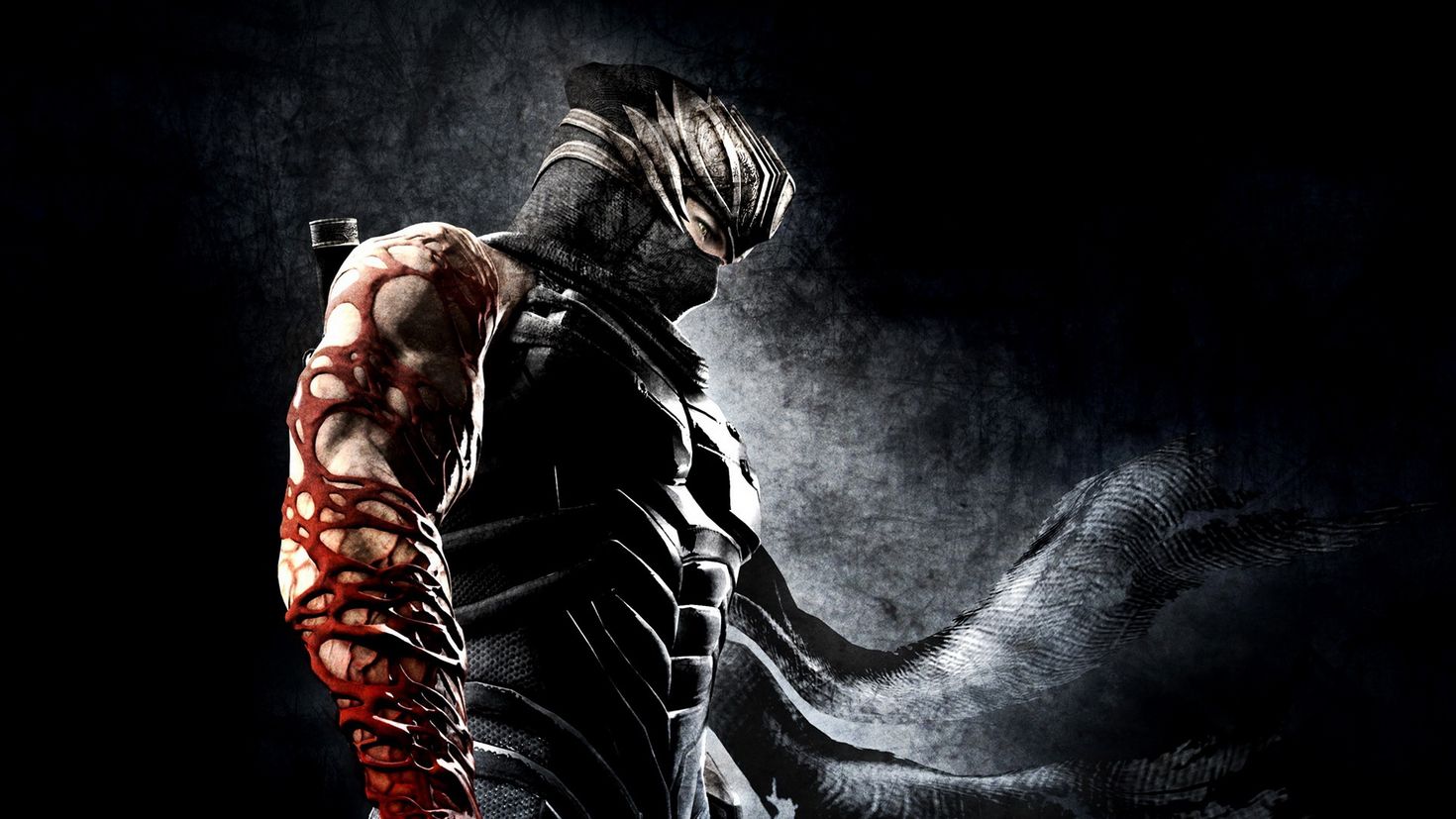 Ninja wallpapers. Ниндзя Гайден. Ninja Gaiden 3 Wallpaper. Обои ниндзя. Обои на рабочий стол ниндзя.