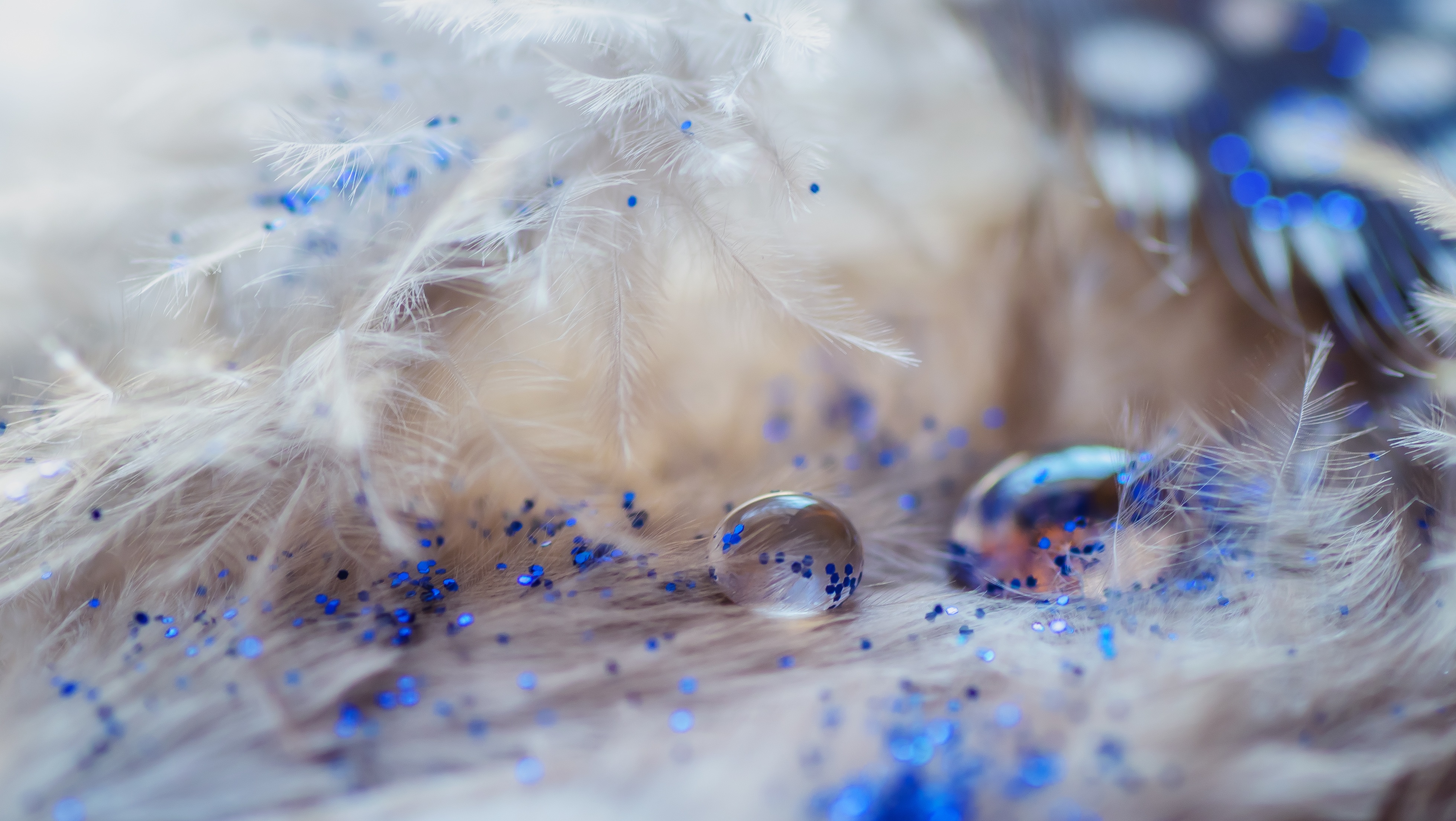Download mobile wallpaper Drops, Sequins, Macro, Decoration, Tinsel, Feather for free.
