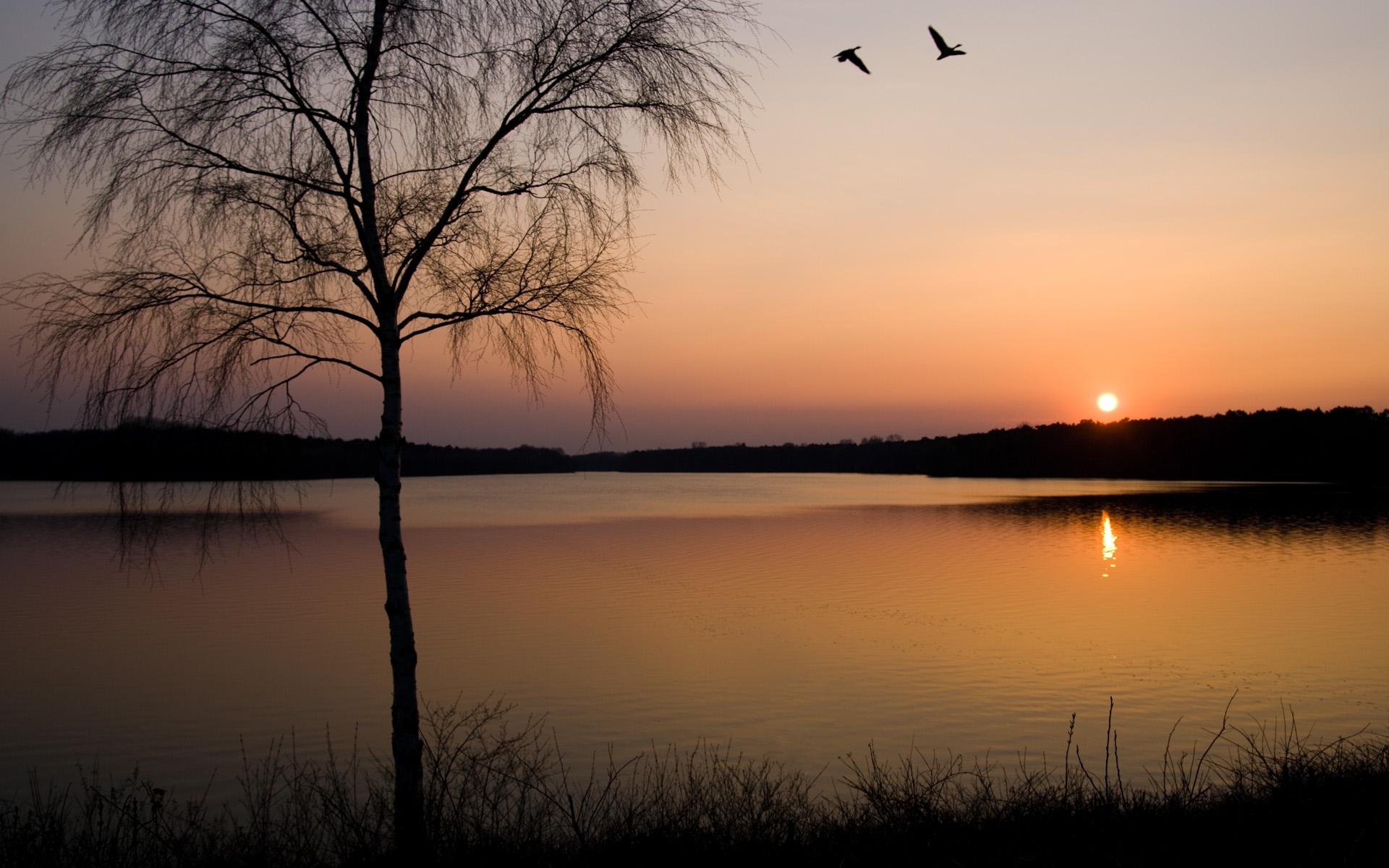 Download mobile wallpaper Lakes, Trees, Sunset, Sun, Landscape for free.