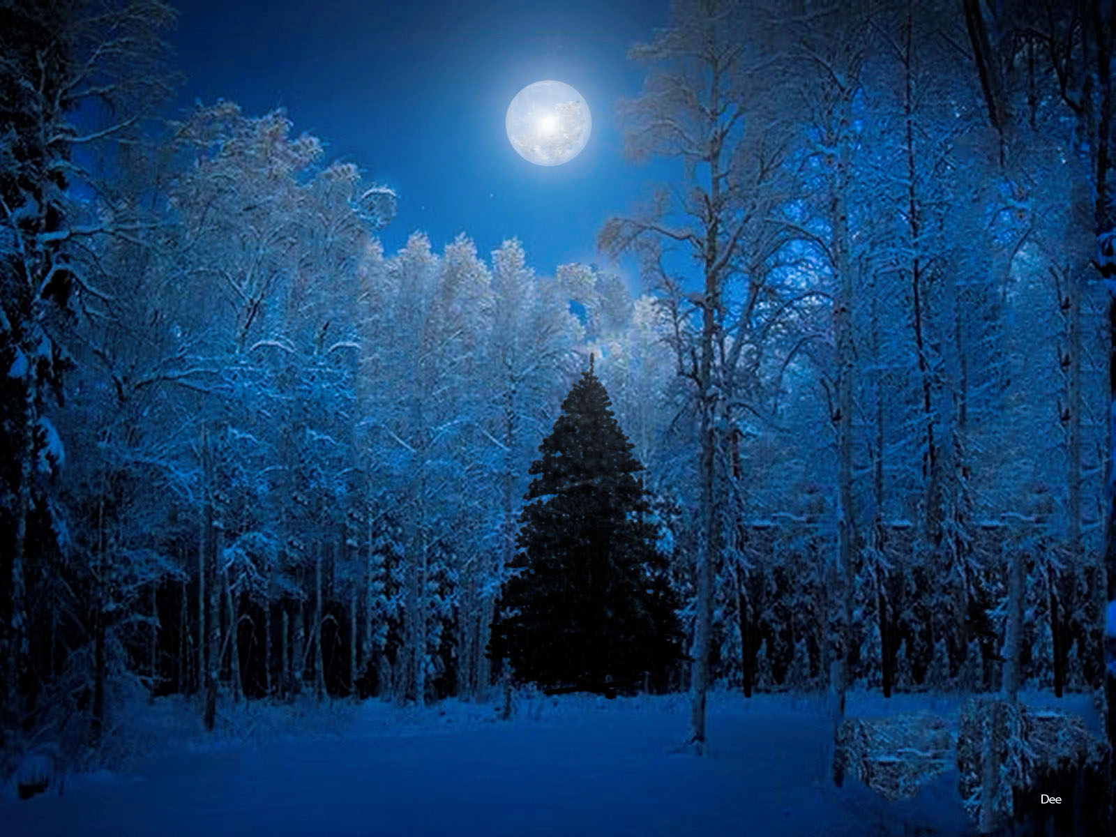 621160壁紙のダウンロードクリスマスツリー, 地球, 冬, 青い, 森, 月, 雪, 木-スクリーンセーバーと写真を無料で