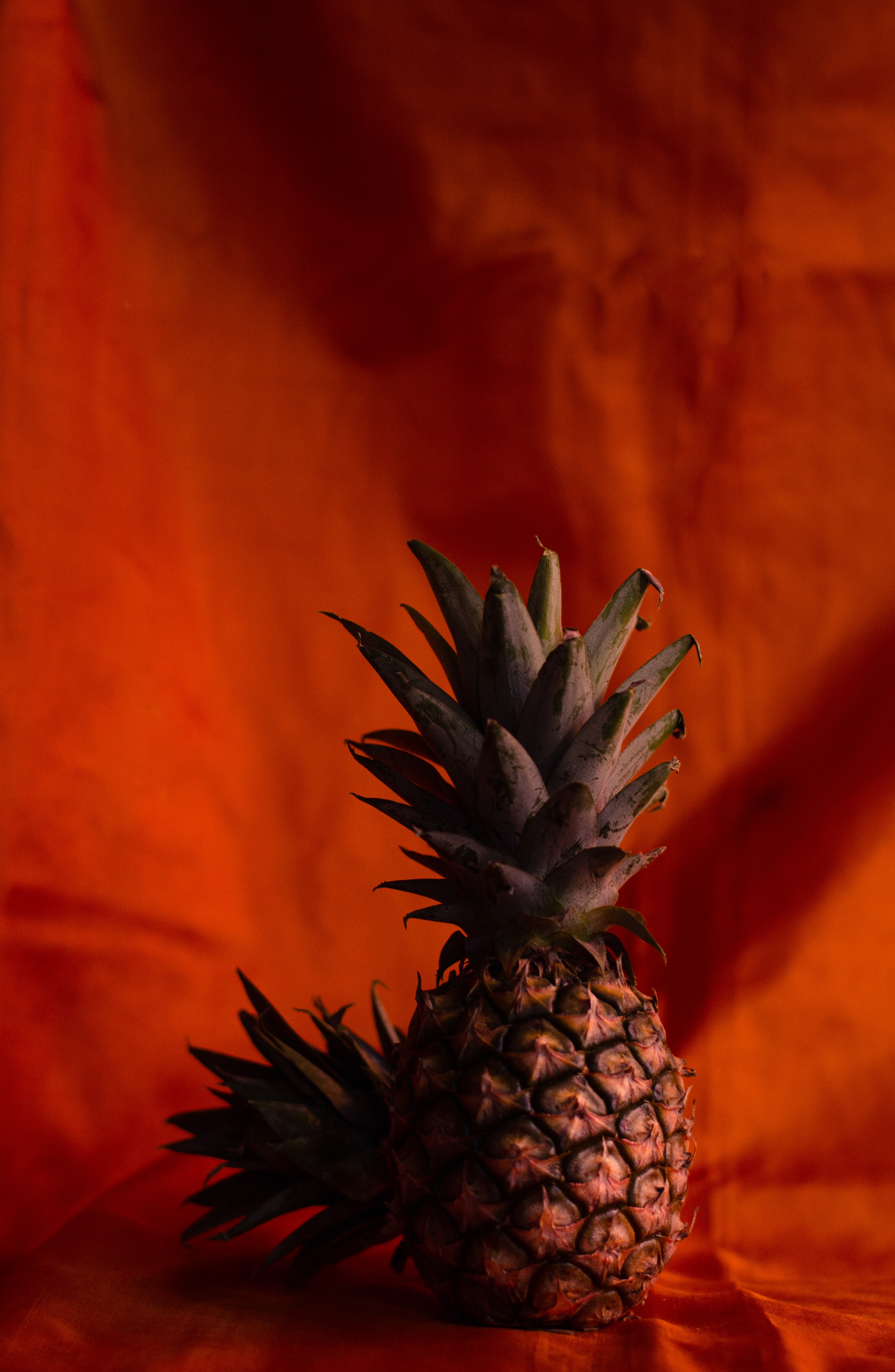 tropical, fruits, food, pineapples, brown images